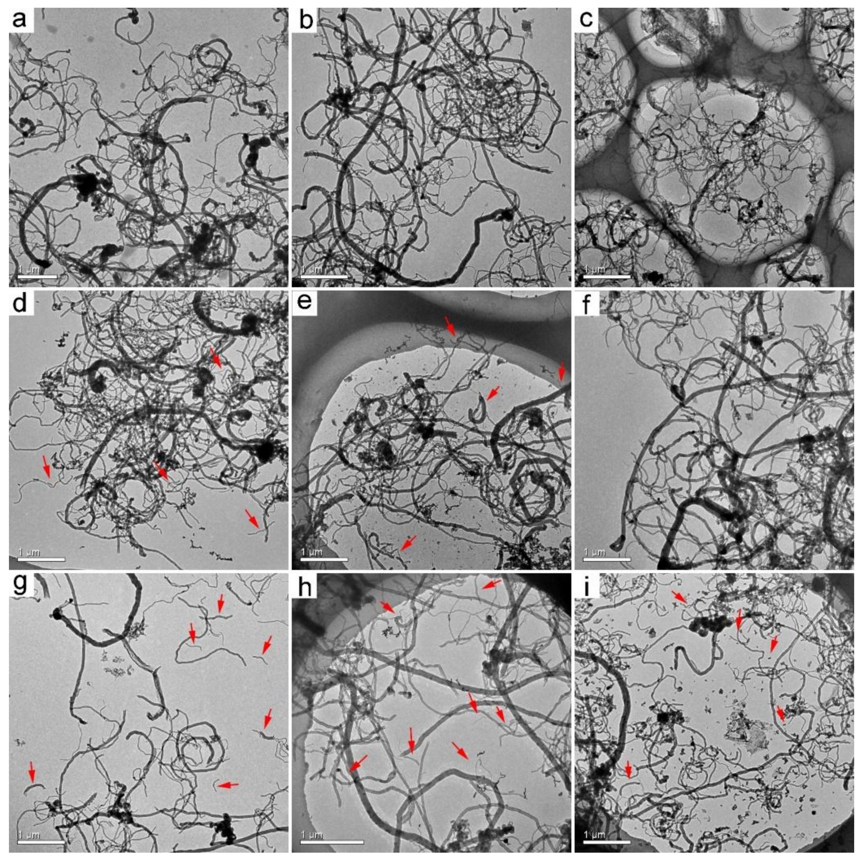 Nanomaterials 09 01340 g001