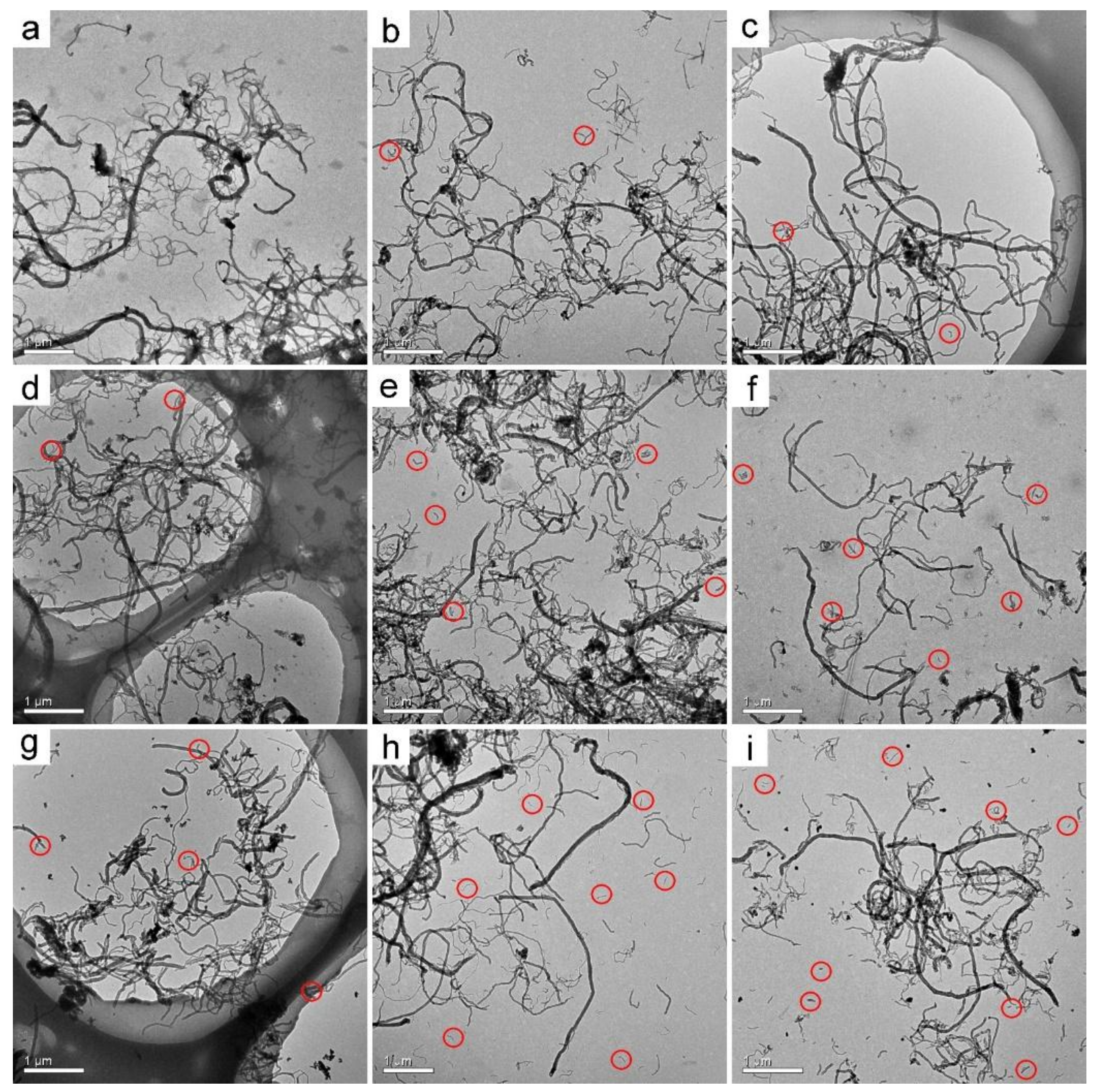 Nanomaterials 09 01340 g002