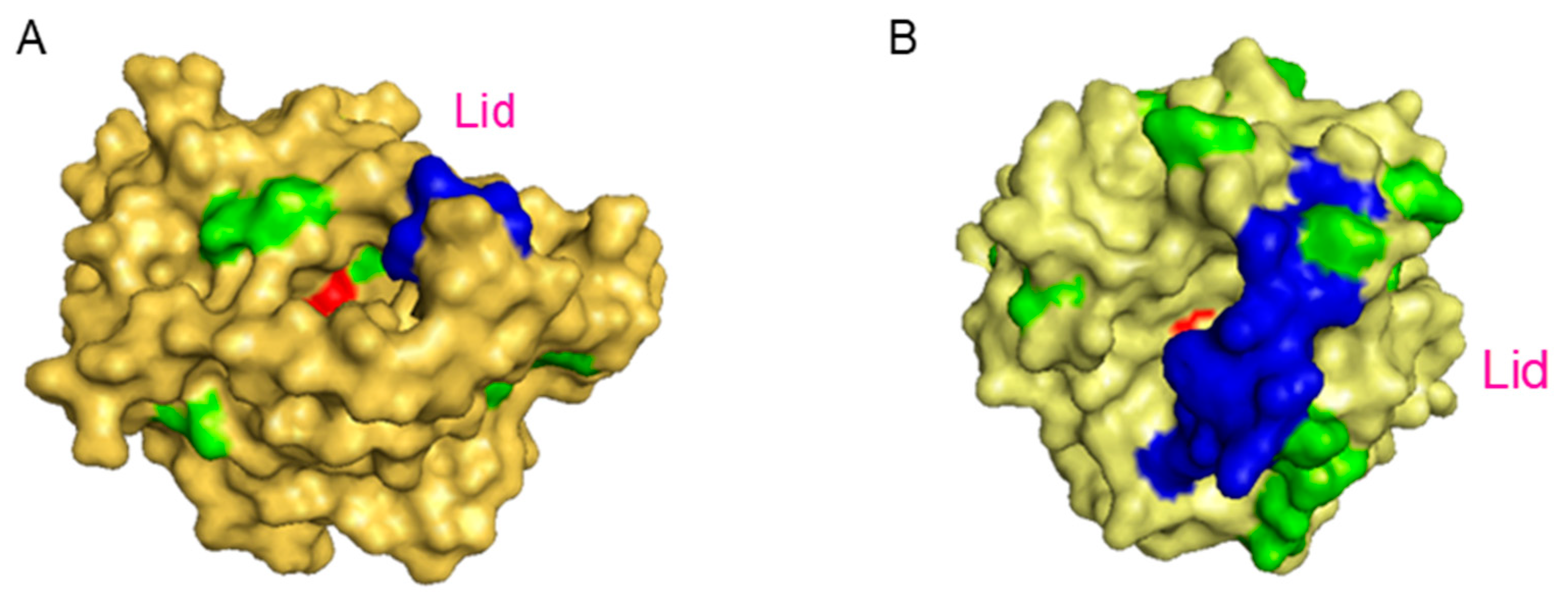 Nanomaterials 09 01344 g002