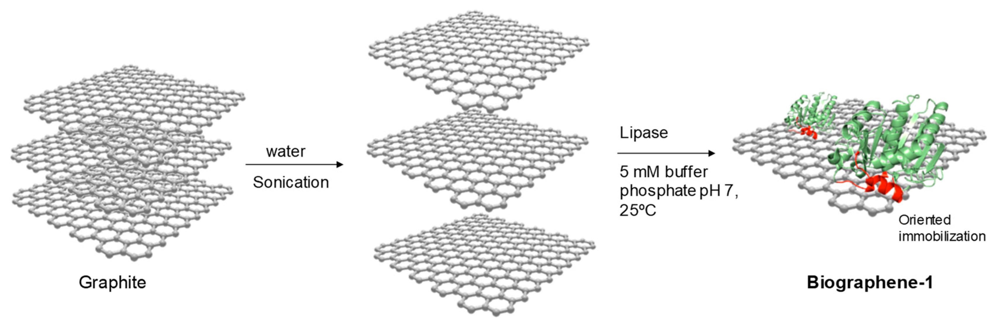 Nanomaterials 09 01344 g004