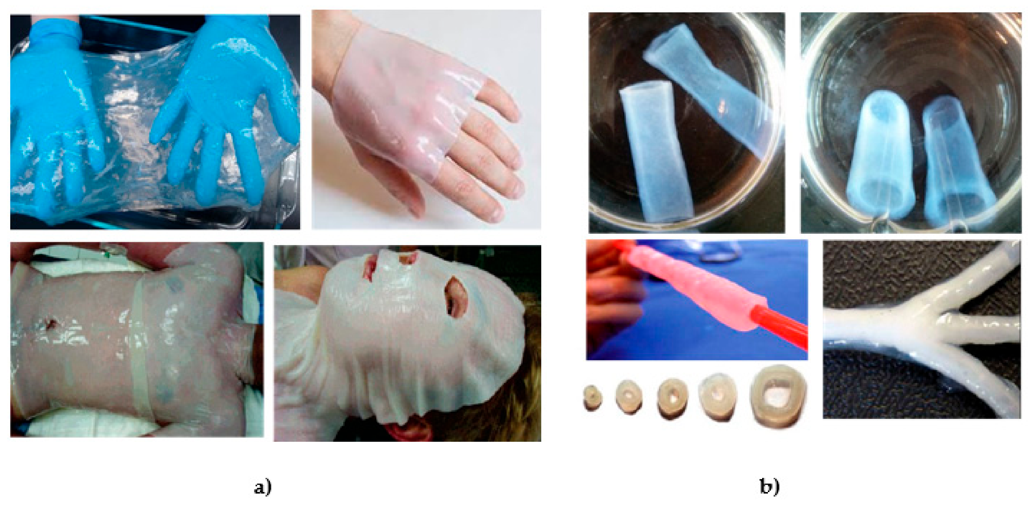 Nanomaterials 09 01352 g008 Nanomaterials 09 01352 g008