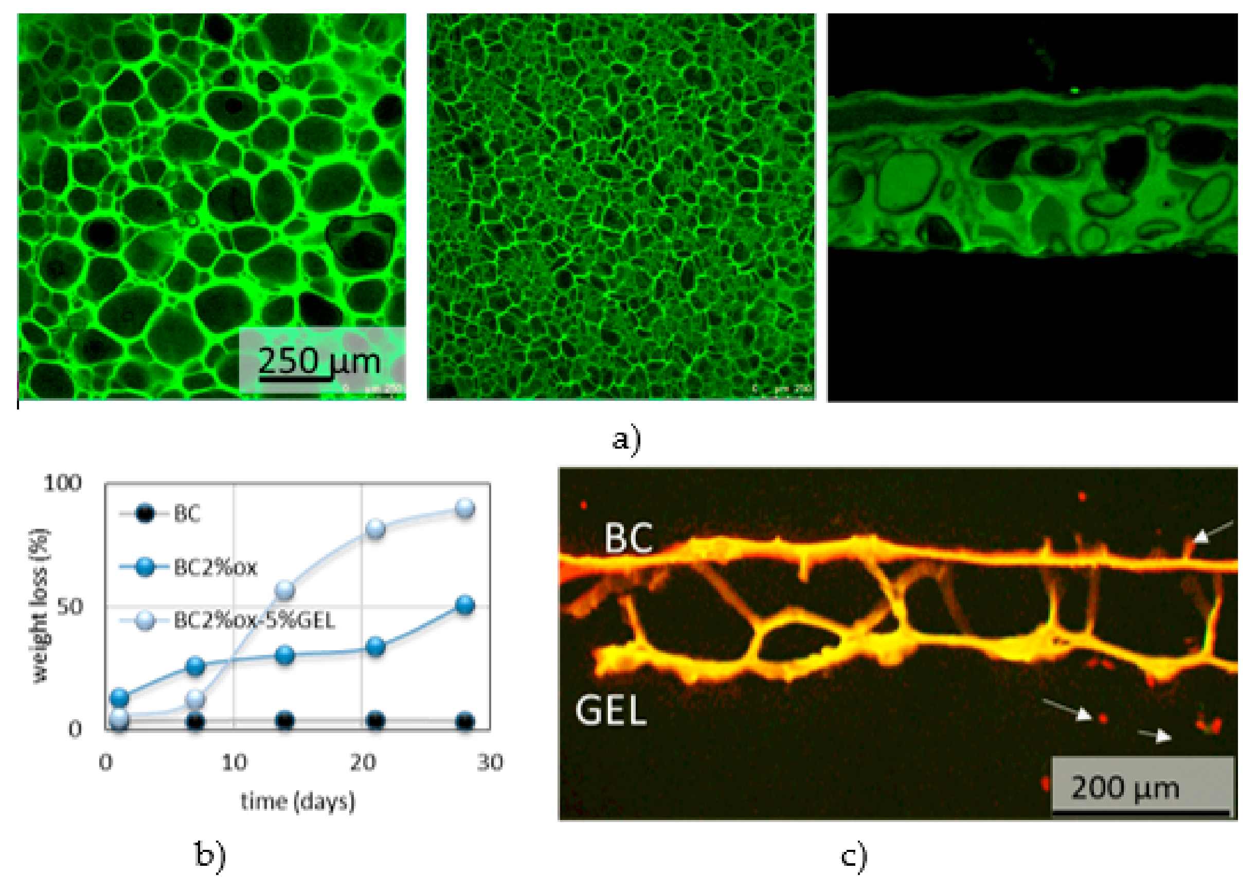 Nanomaterials 09 01352 g009 Nanomaterials 09 01352 g009