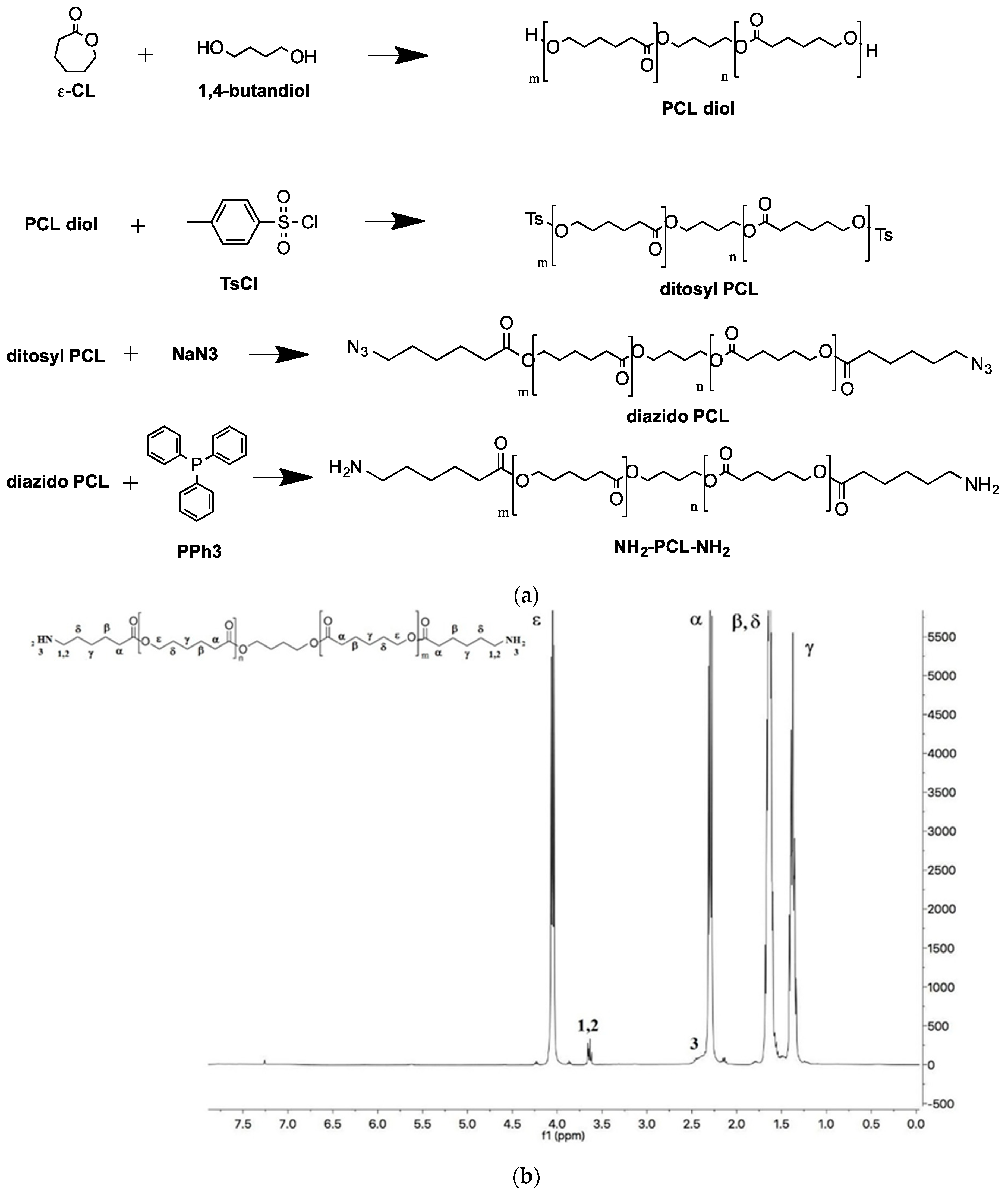 Nanomaterials 09 01354 g001