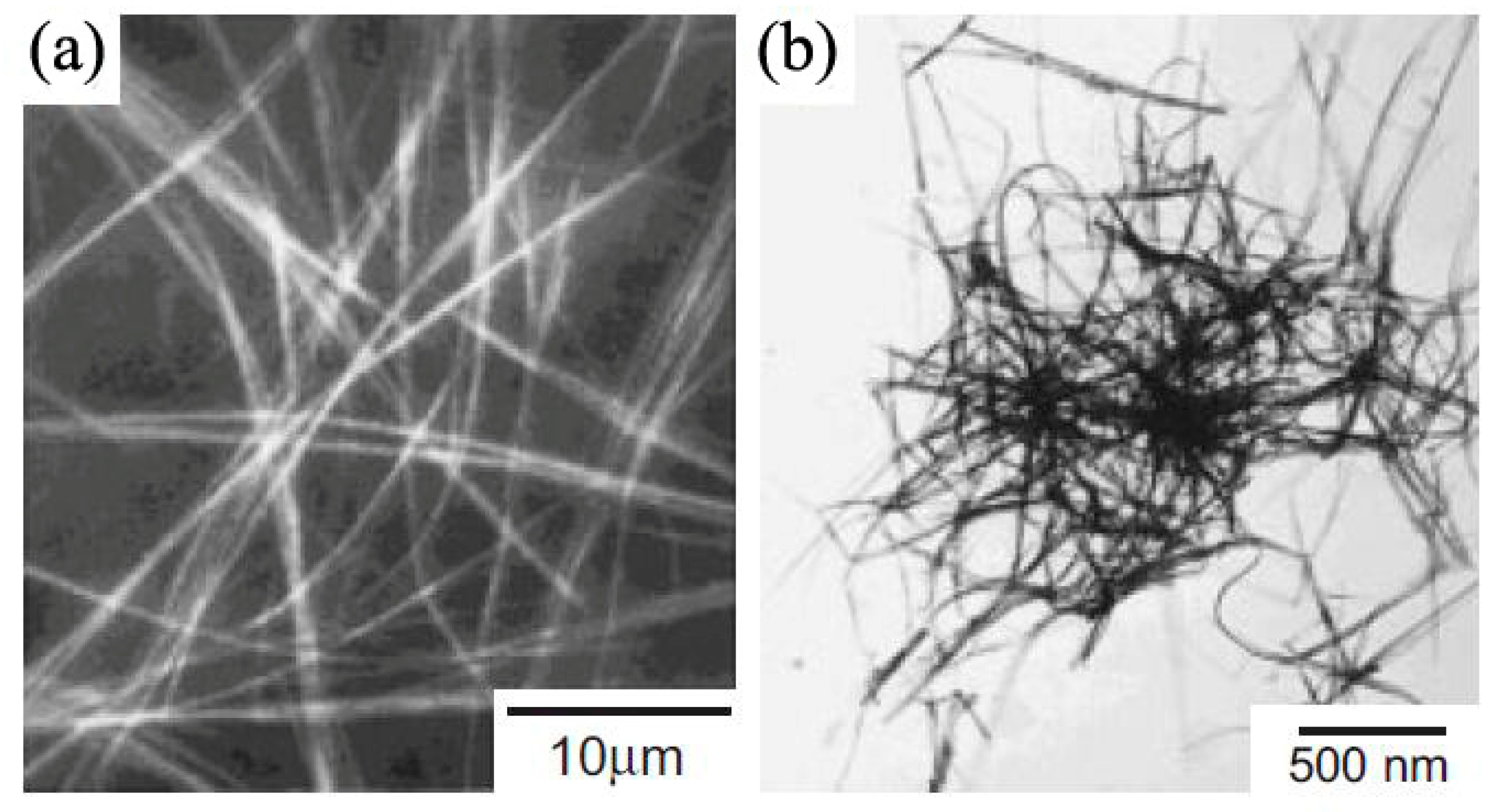 Nanomaterials 09 01359 g004 Nanomaterials 09 01359 g004