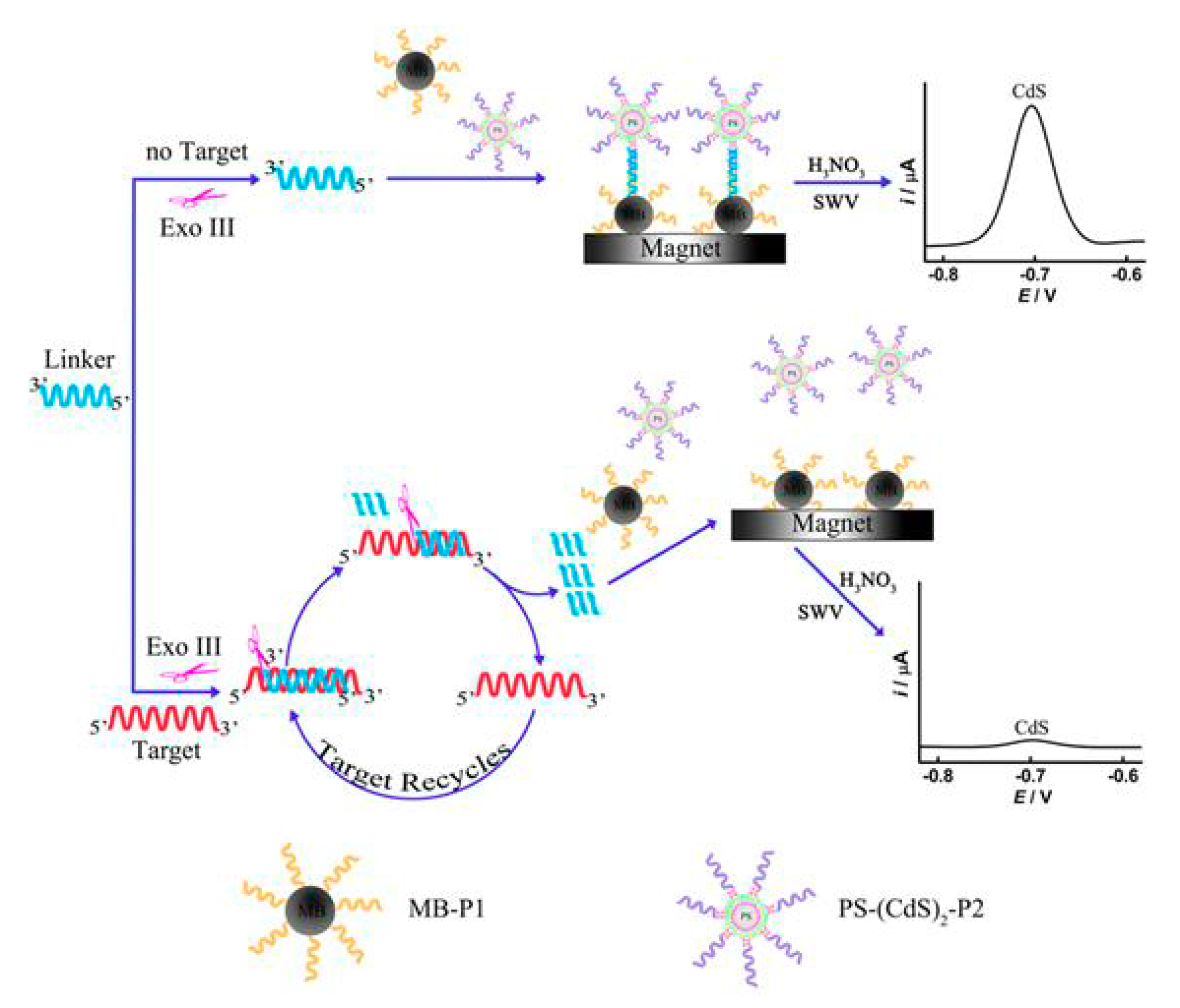 Nanomaterials 09 01361 g007 Nanomaterials 09 01361 g007