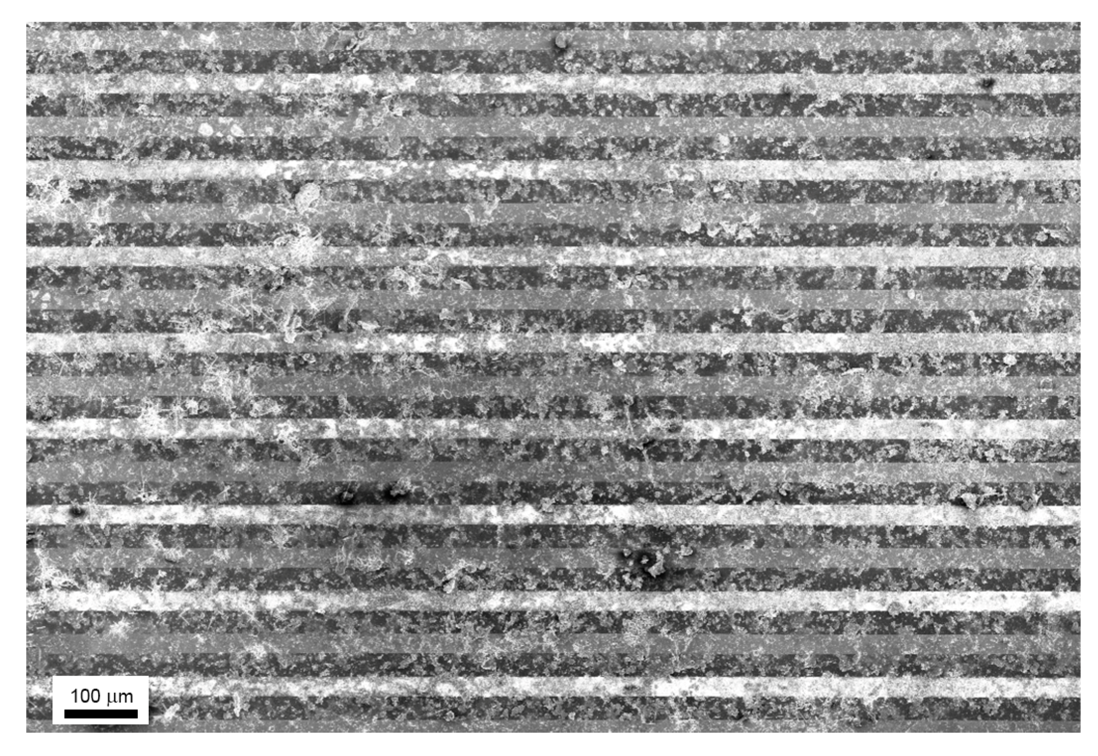 Nanomaterials 09 01363 g007