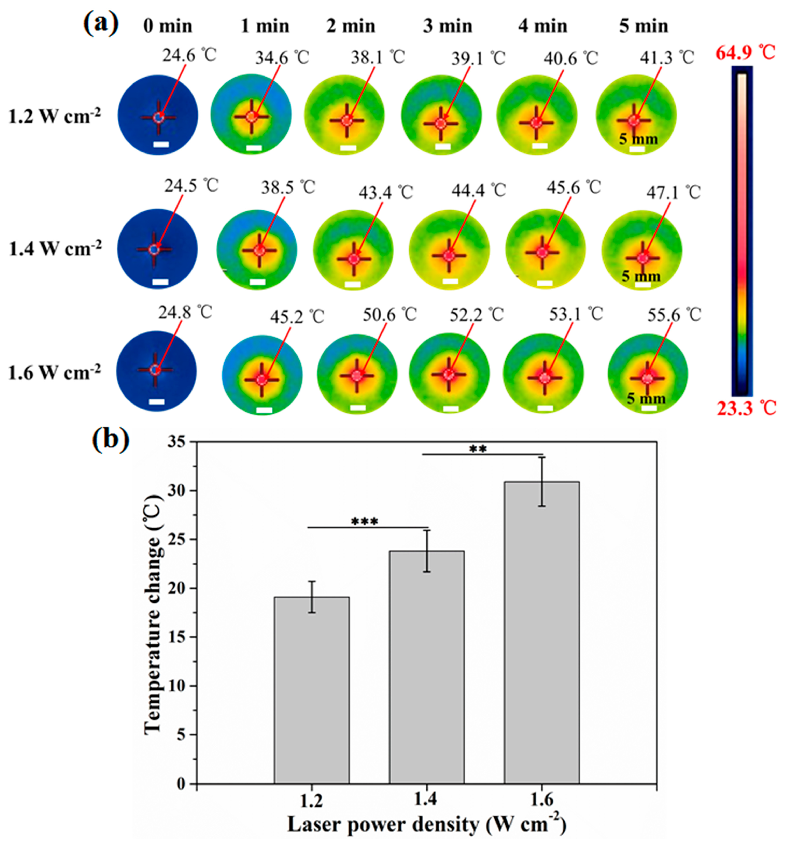 Nanomaterials 09 01367 g002 Nanomaterials 09 01367 g002