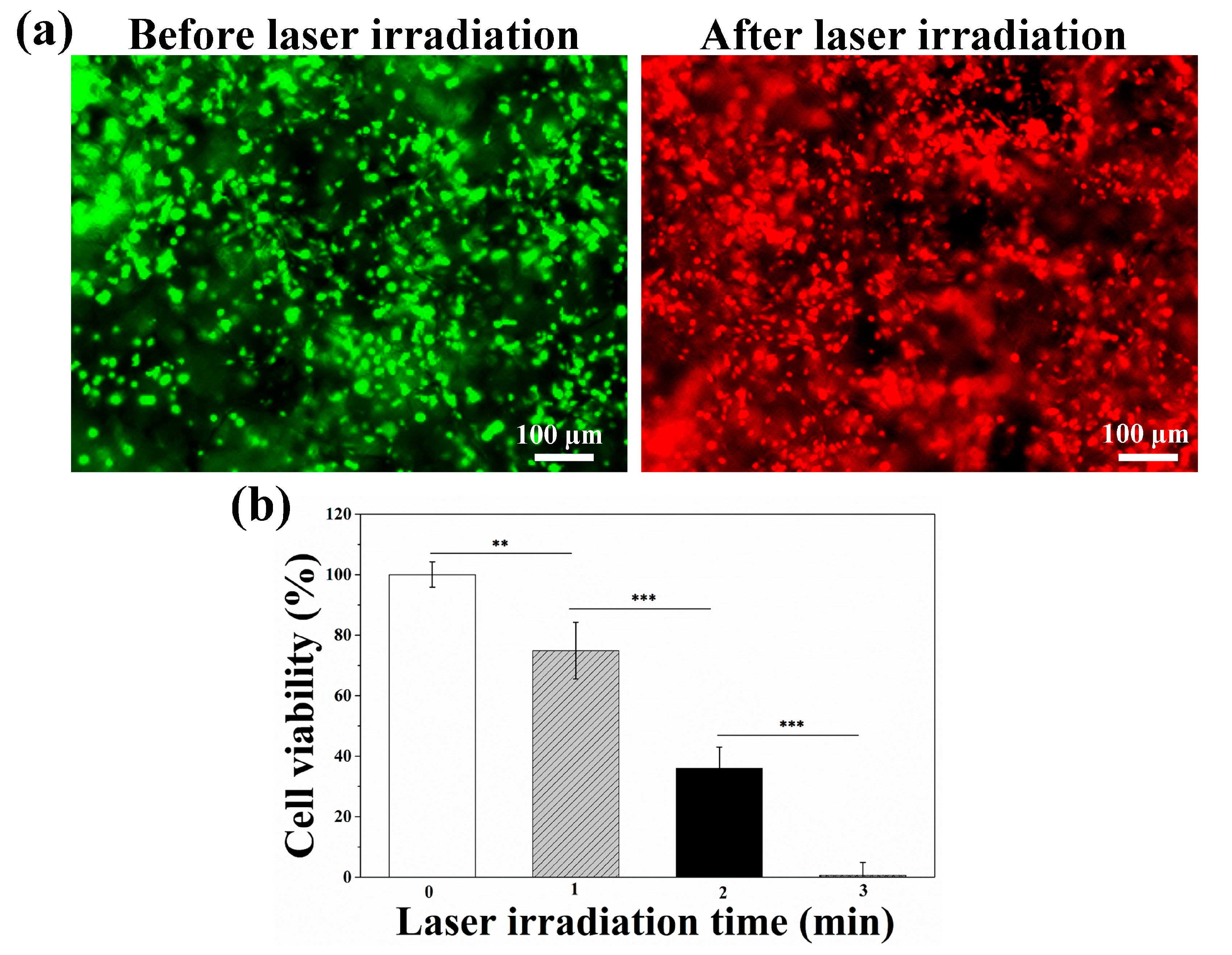 Nanomaterials 09 01367 g003 Nanomaterials 09 01367 g003
