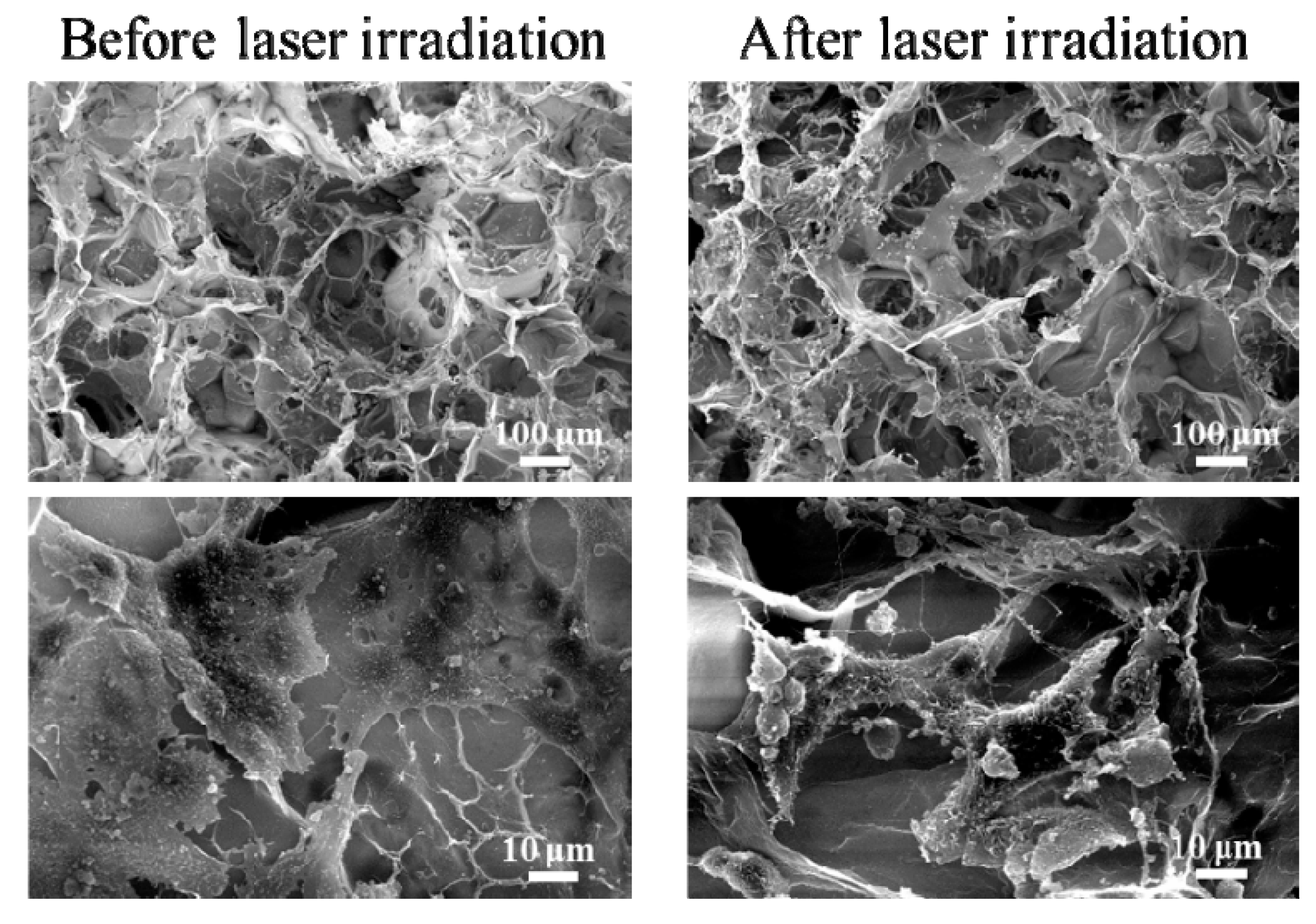 Nanomaterials 09 01367 g004 Nanomaterials 09 01367 g004