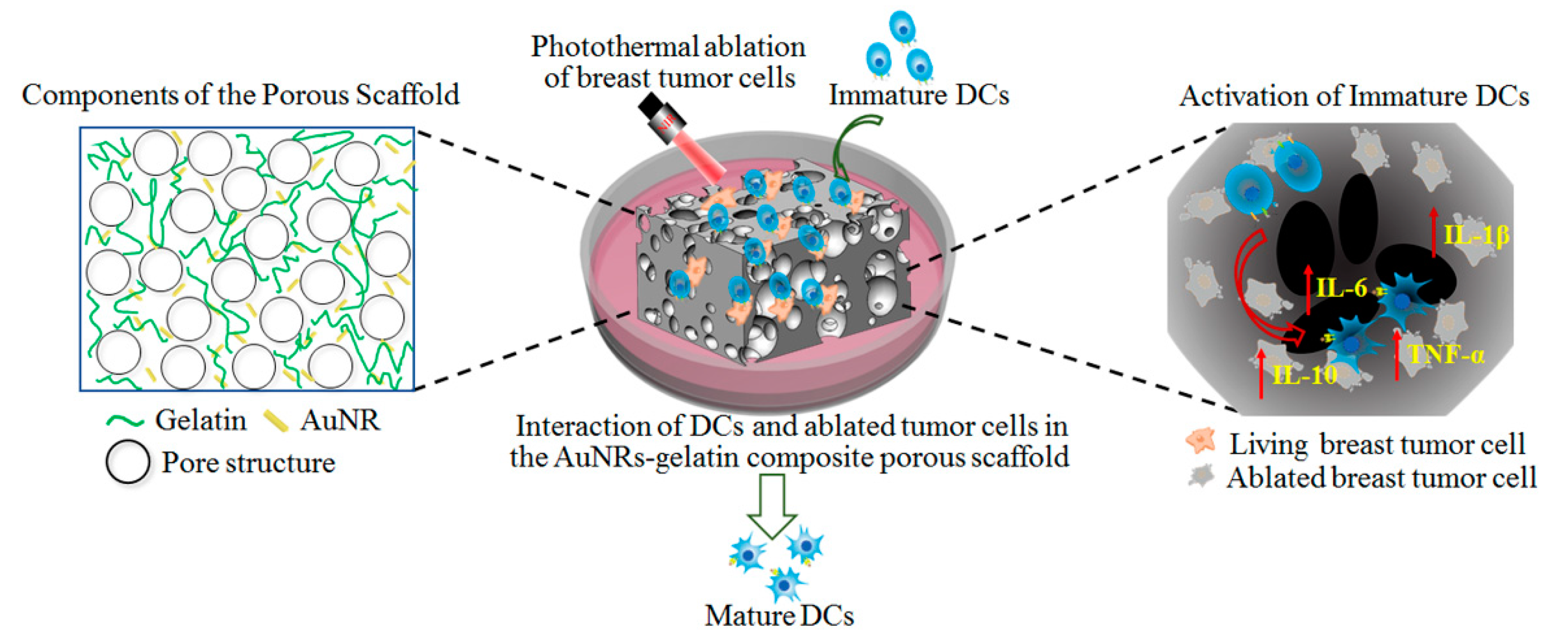 Nanomaterials 09 01367 sch001 Nanomaterials 09 01367 sch001