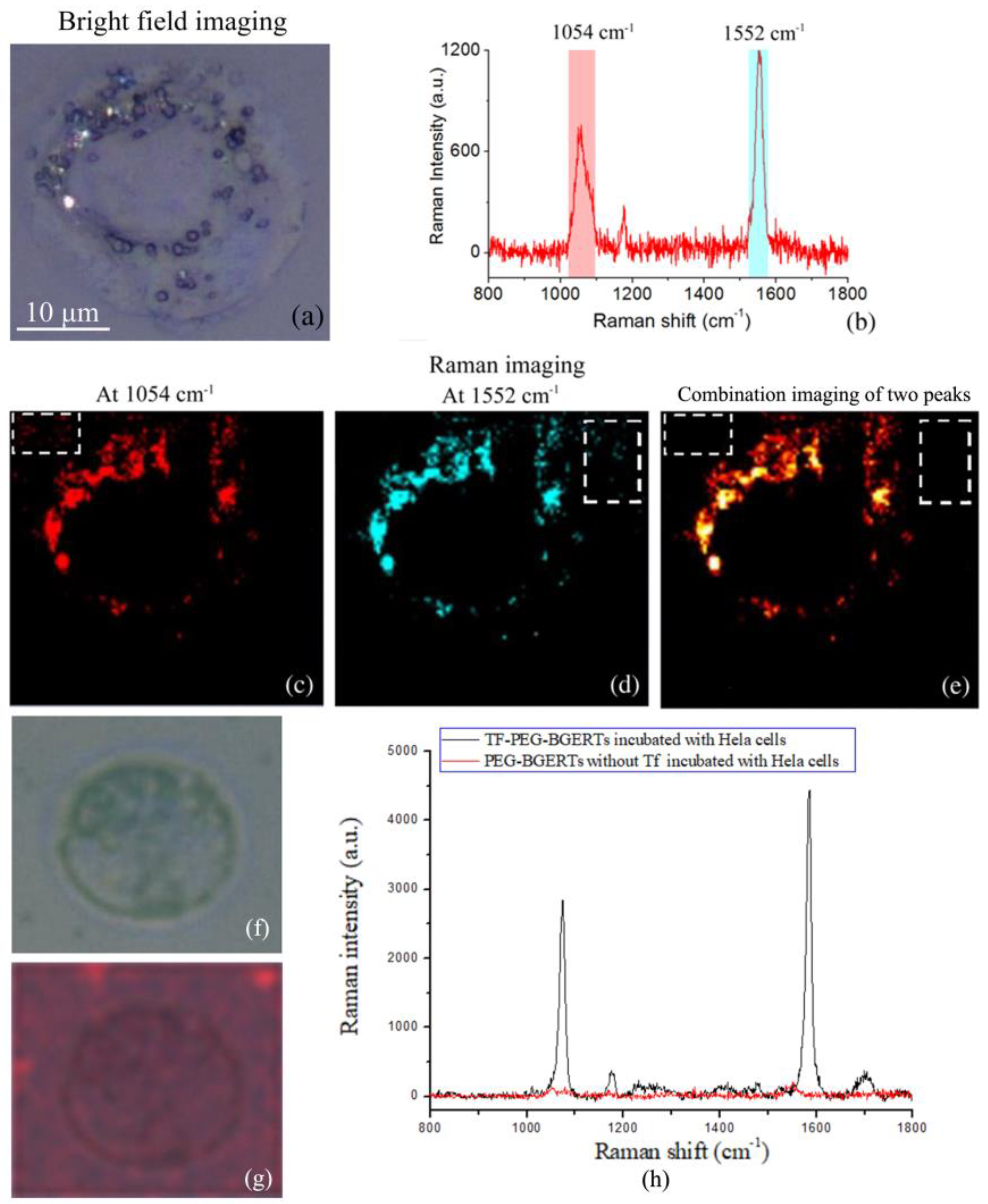 Nanomaterials 09 01373 g003 Nanomaterials 09 01373 g003