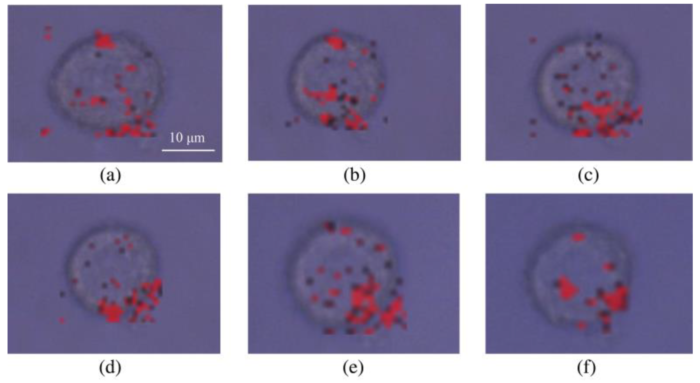 Nanomaterials 09 01373 g004 Nanomaterials 09 01373 g004