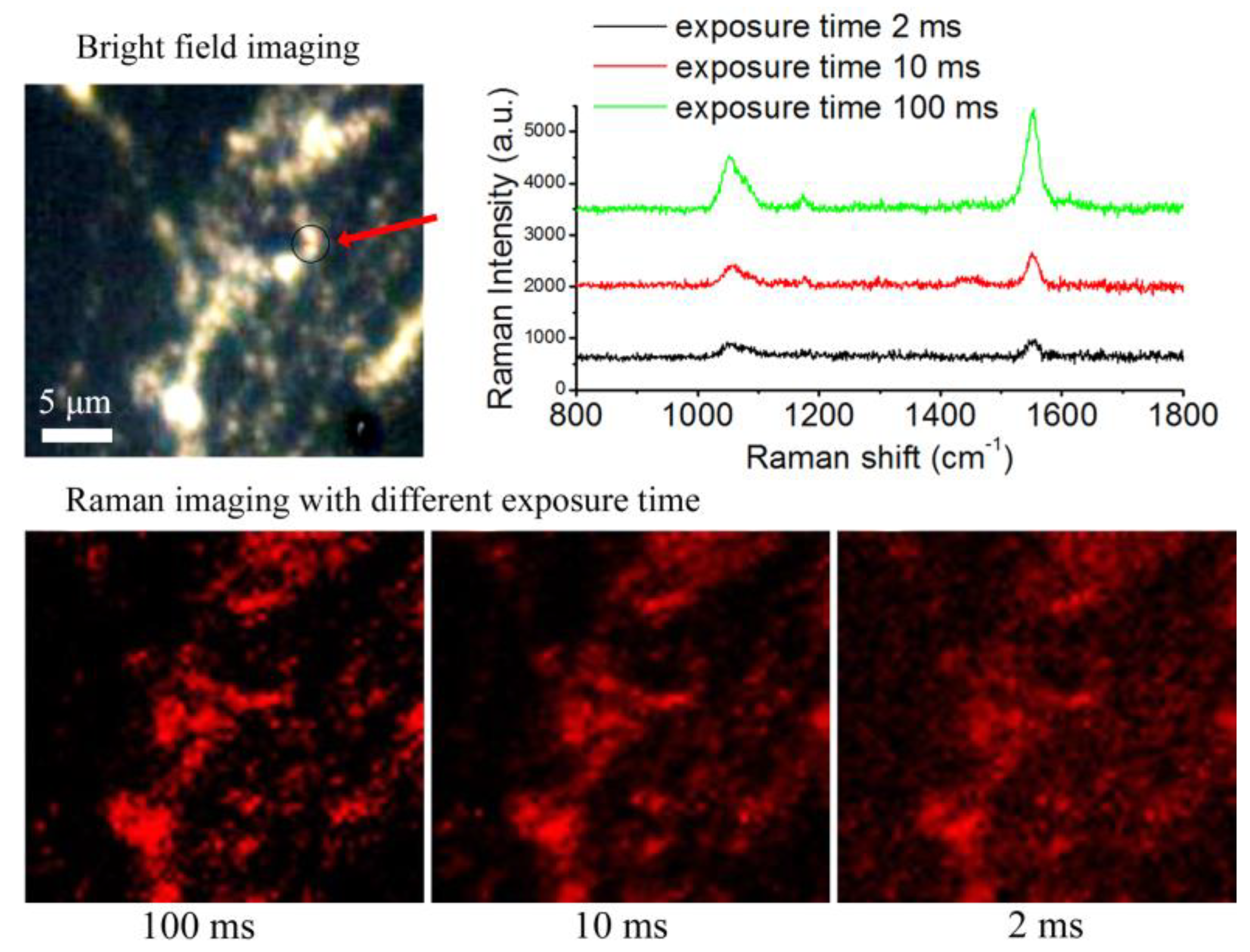 Nanomaterials 09 01373 g008 Nanomaterials 09 01373 g008