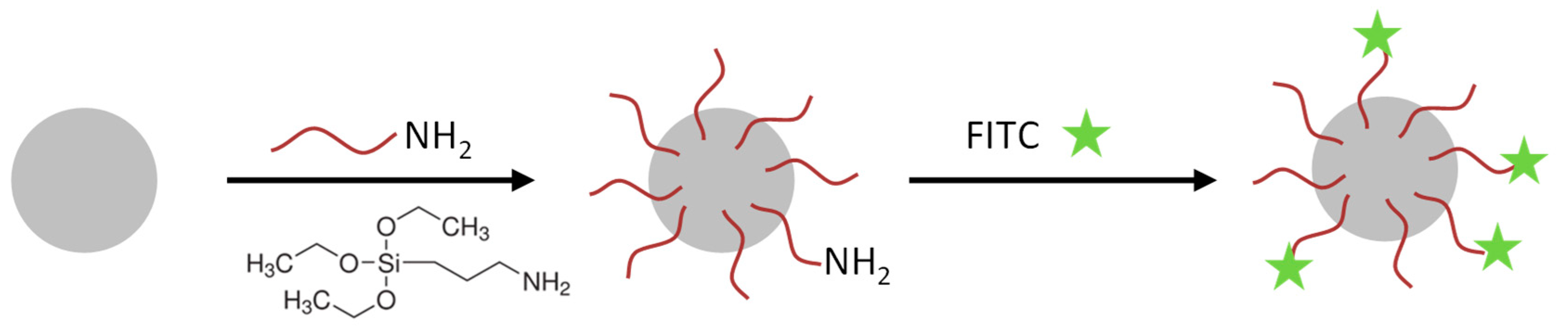 Nanomaterials 09 01378 g001