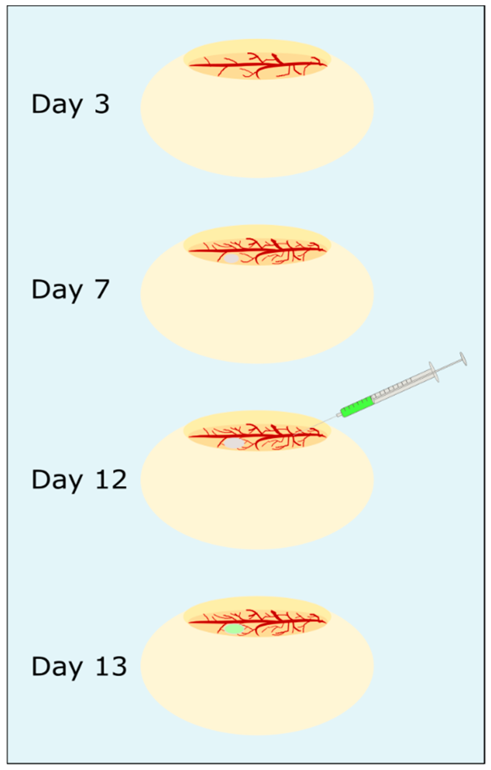 Nanomaterials 09 01378 g003