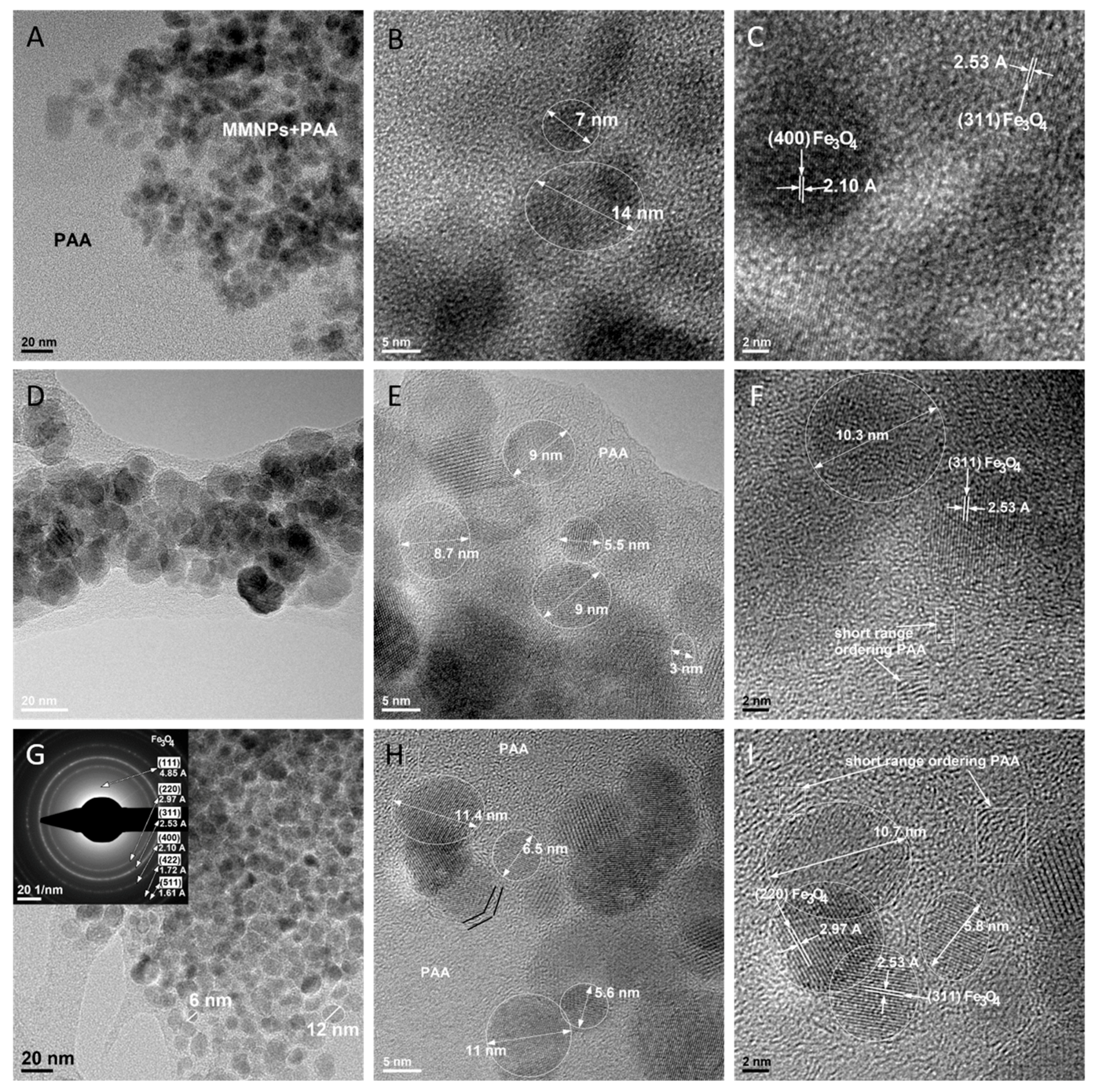 Nanomaterials 09 01384 g011 Nanomaterials 09 01384 g011