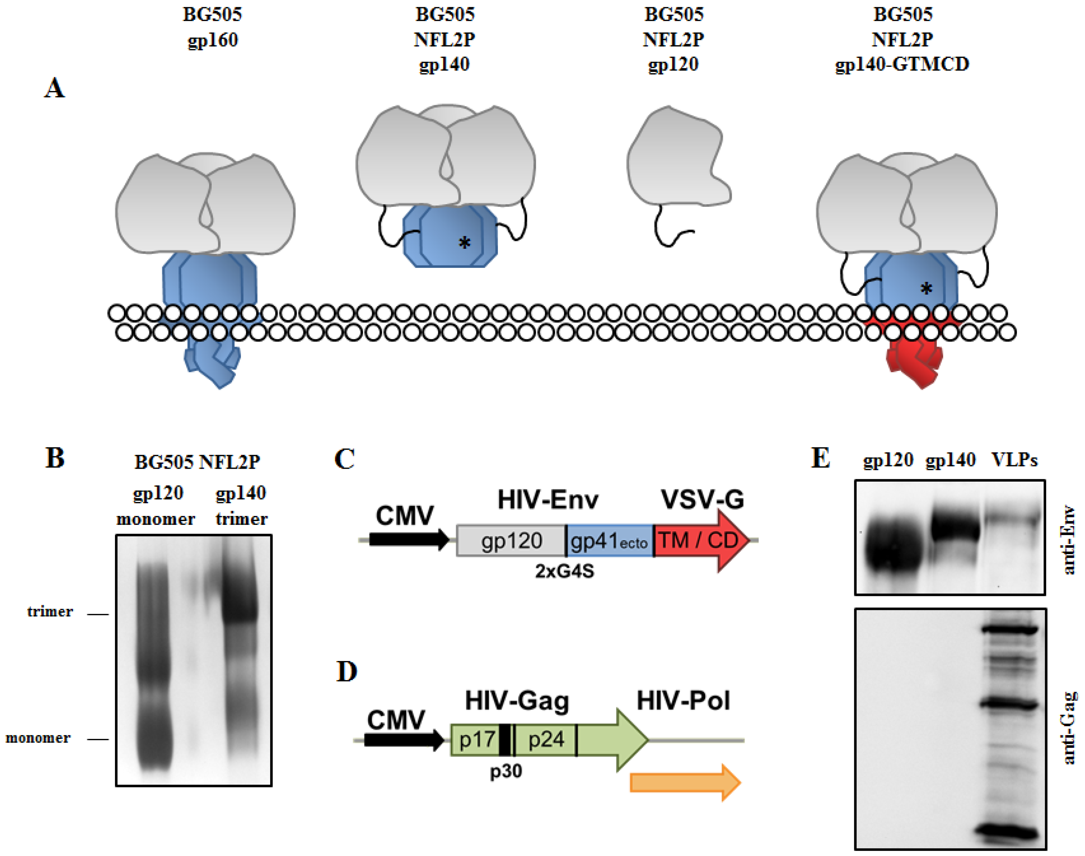 Nanomaterials 09 01389 g001 Nanomaterials 09 01389 g001