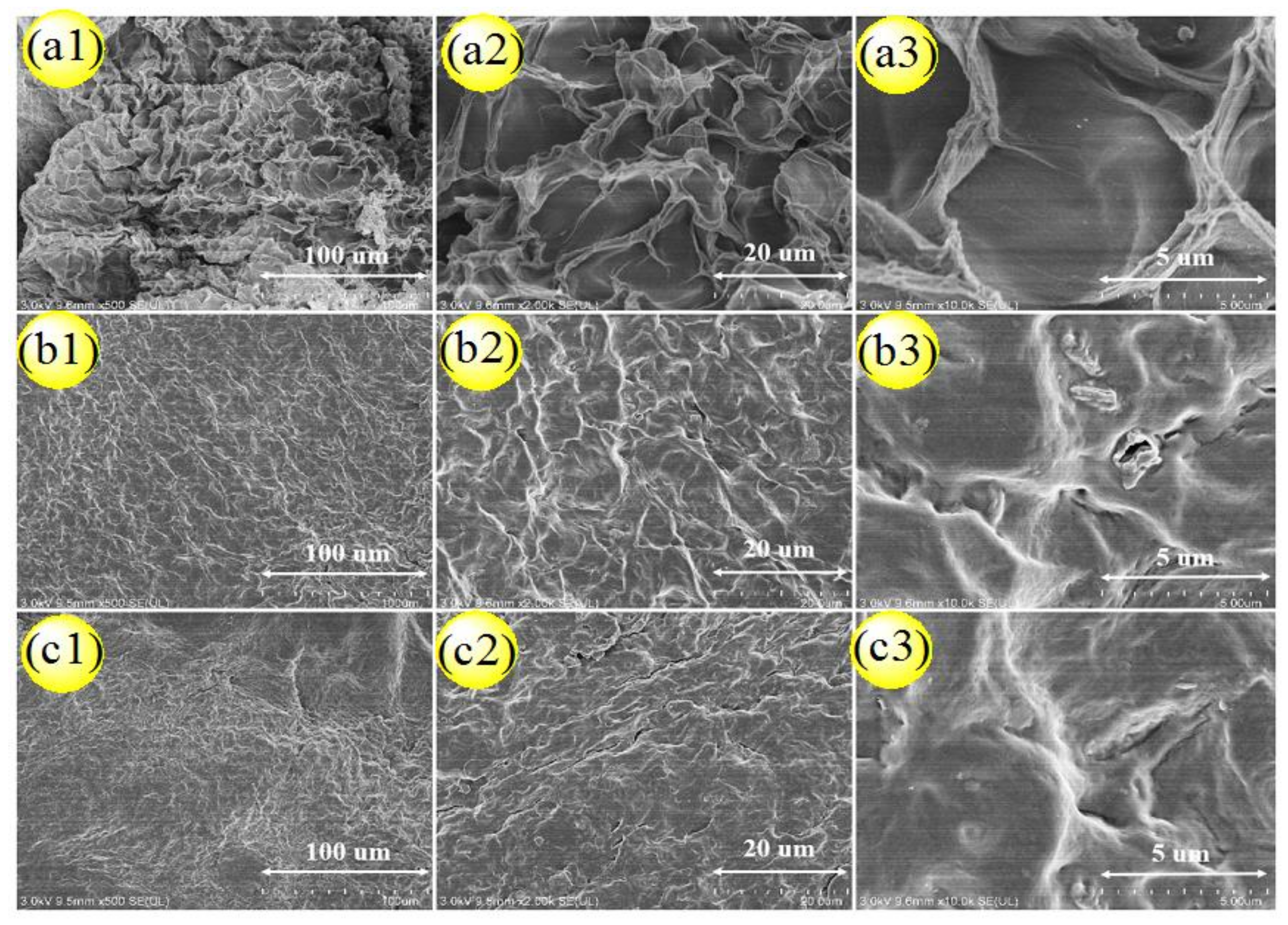 Nanomaterials 09 01397 g012 Nanomaterials 09 01397 g012