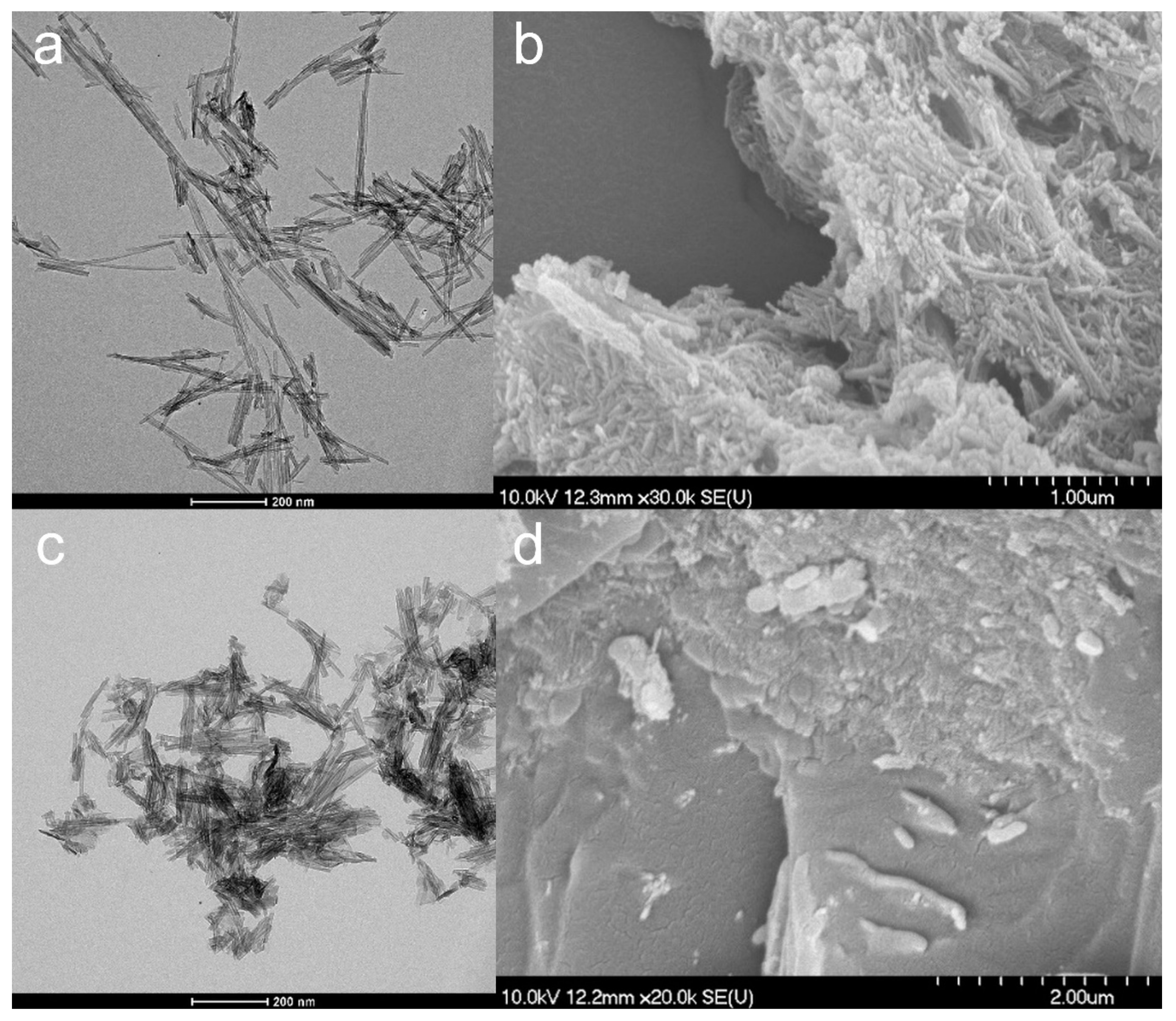 Nanomaterials 09 01406 g001 Nanomaterials 09 01406 g001