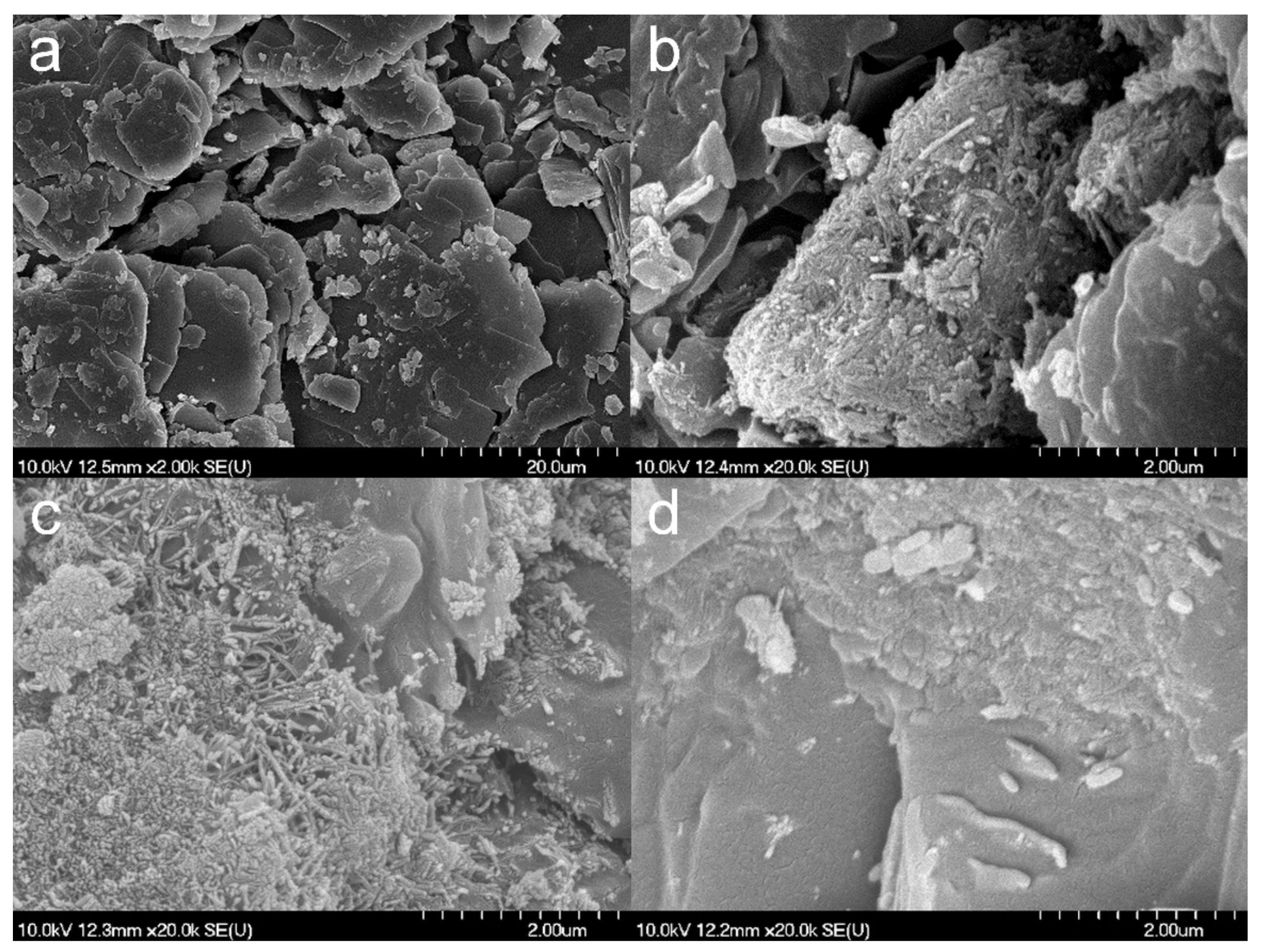 Nanomaterials 09 01406 g003 Nanomaterials 09 01406 g003