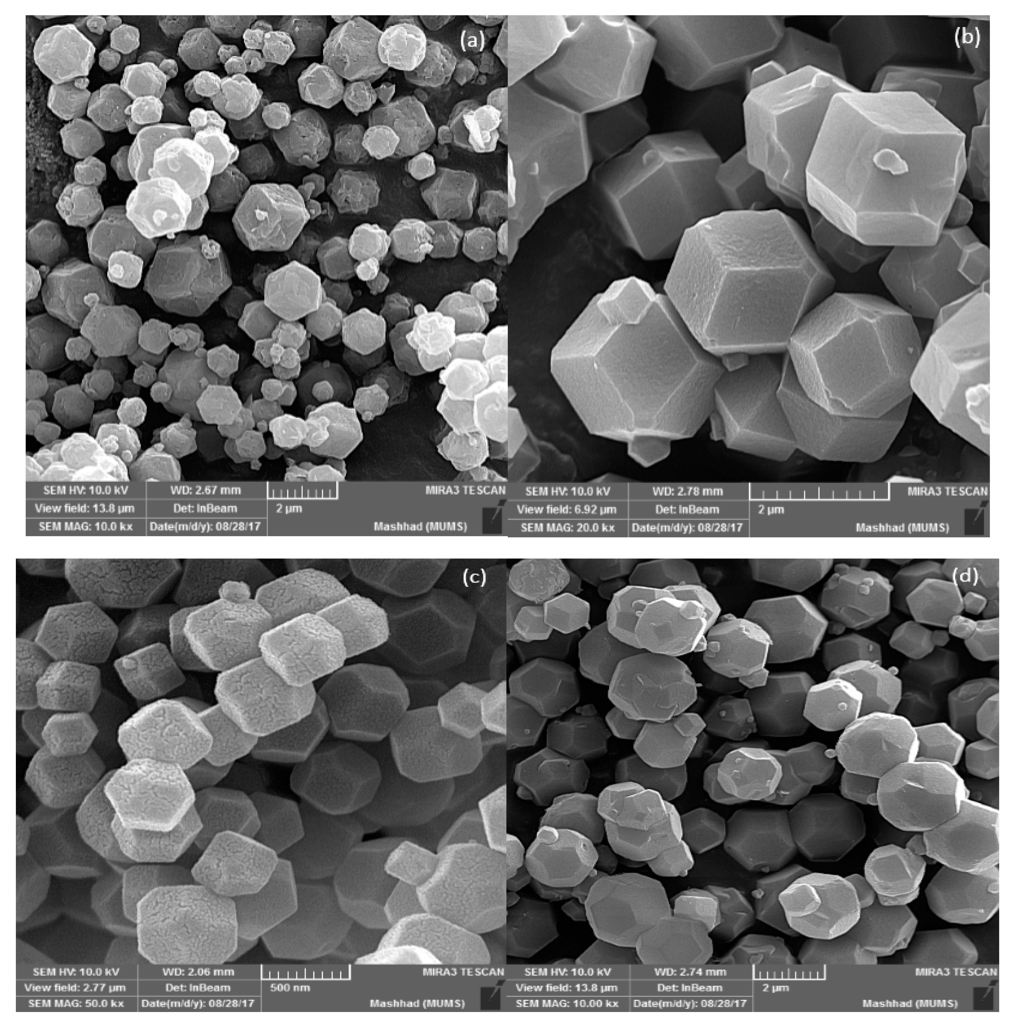 Nanomaterials 09 01422 g001a 550