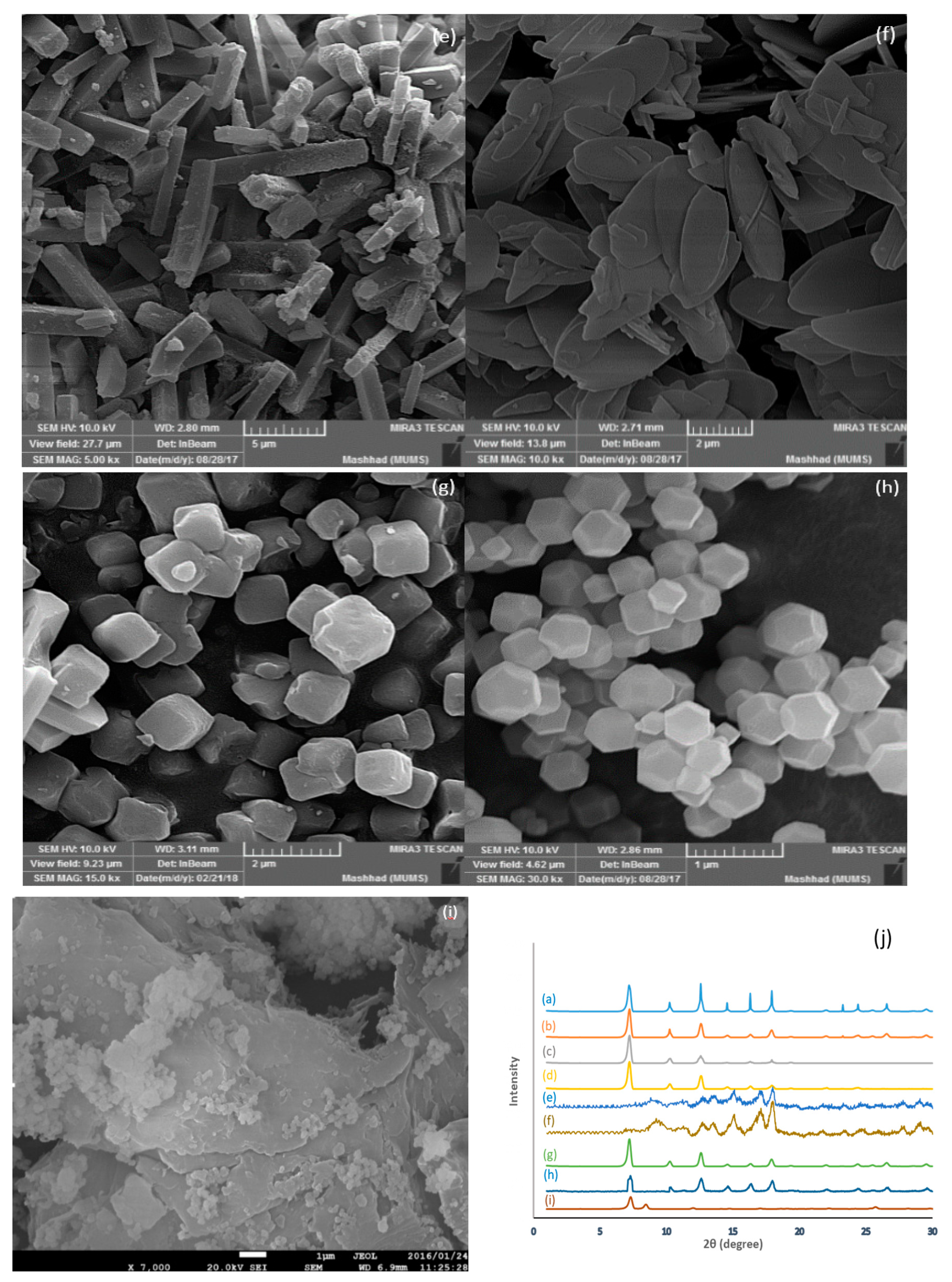 Nanomaterials 09 01422 g001b 550