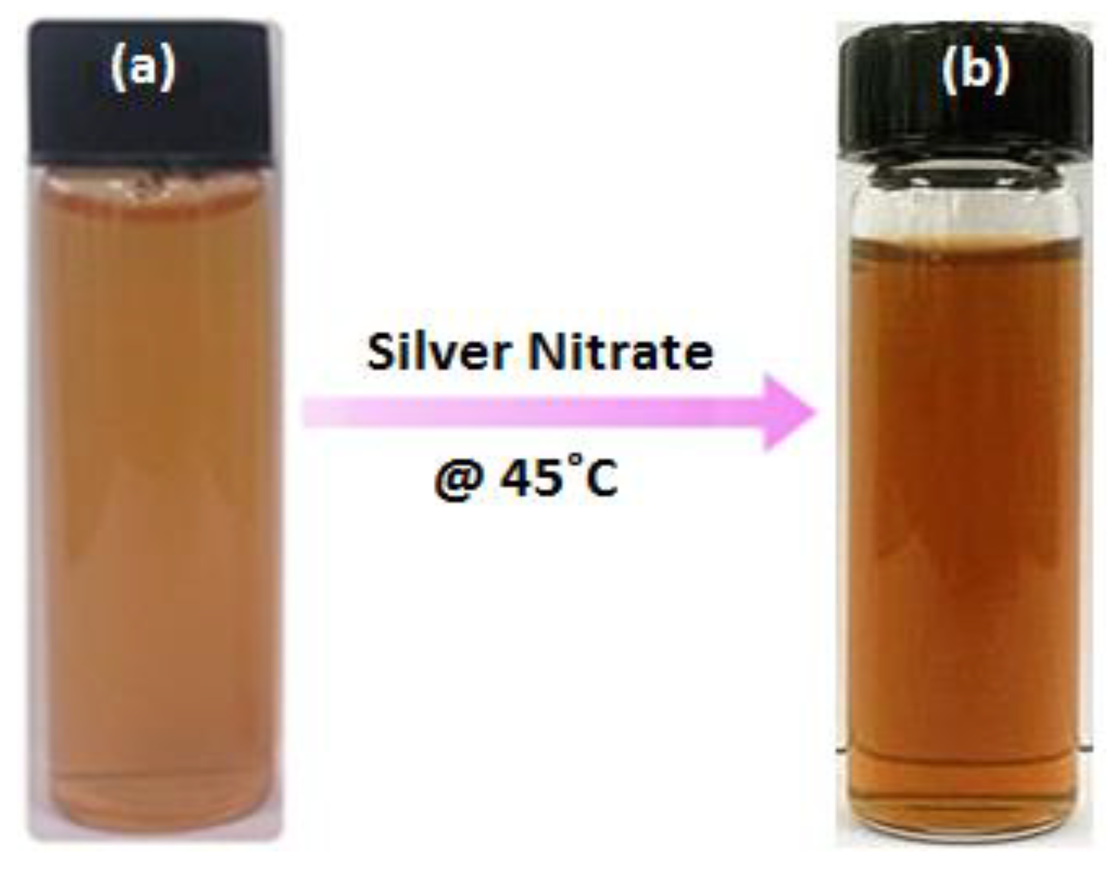 Nanomaterials 09 01423 g001
