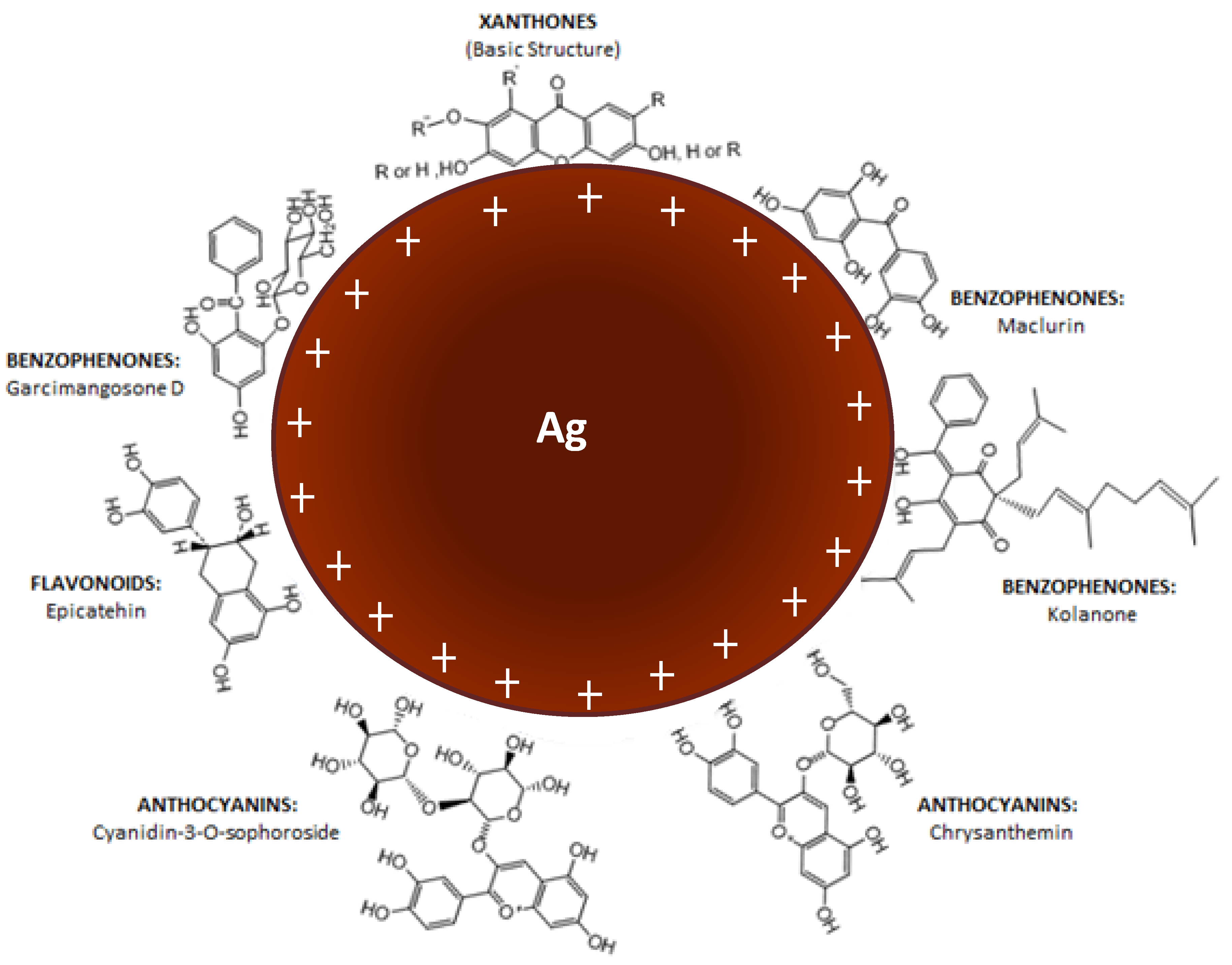 Nanomaterials 09 01423 g005