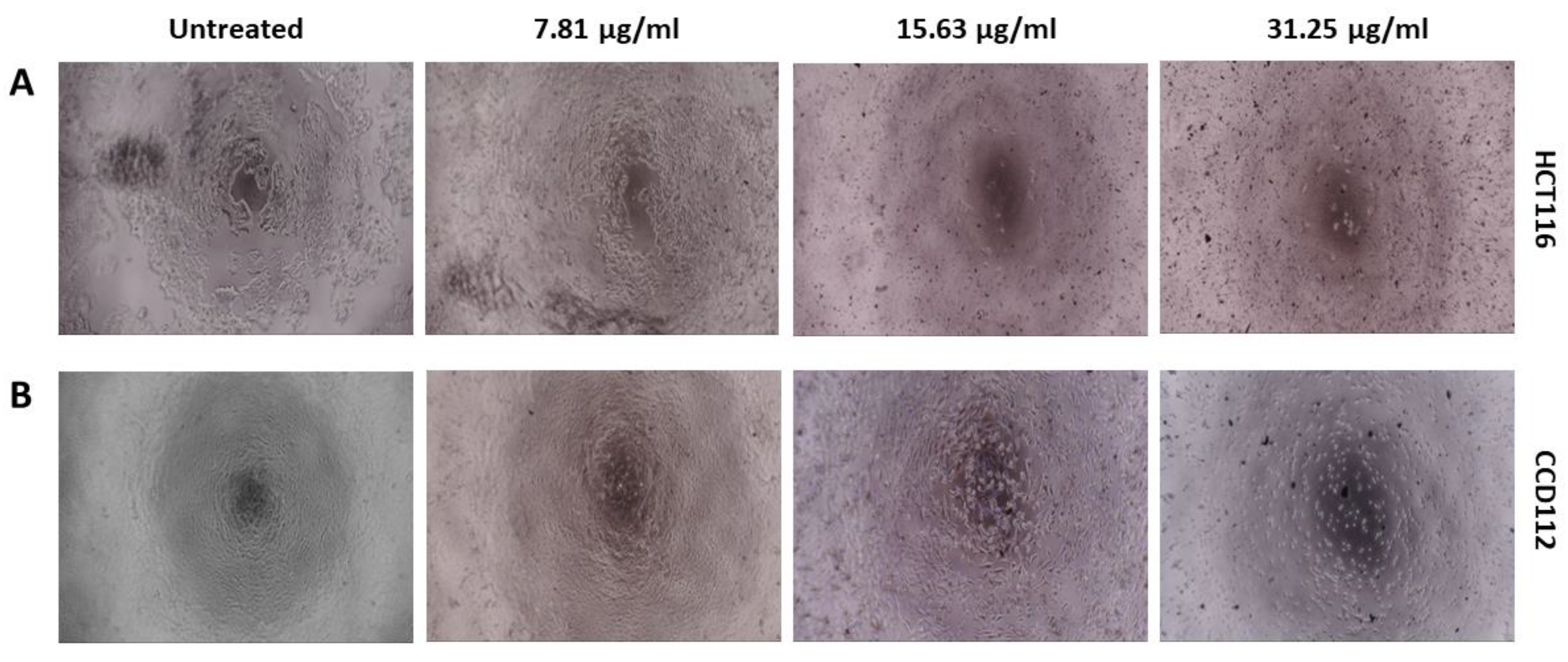 Nanomaterials 09 01423 g008