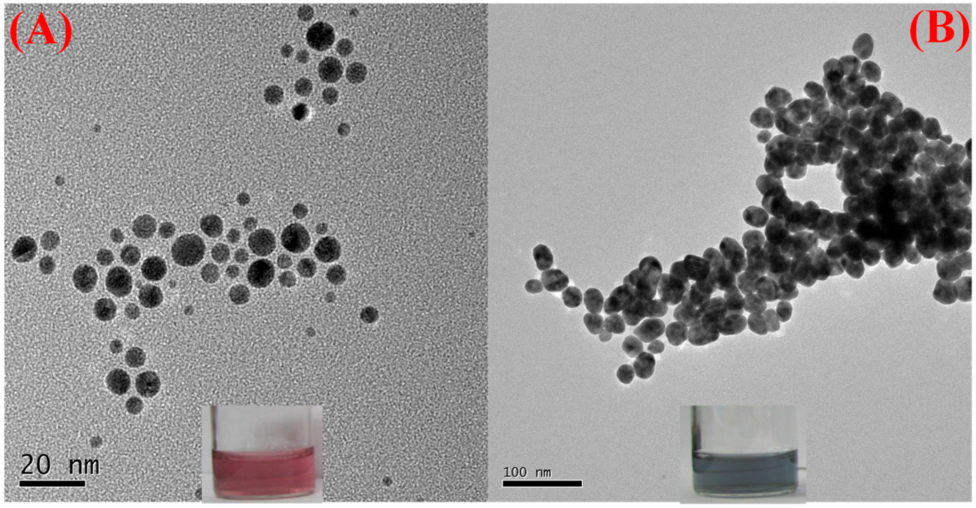 Nanomaterials 09 01424 g002 Nanomaterials 09 01424 g002