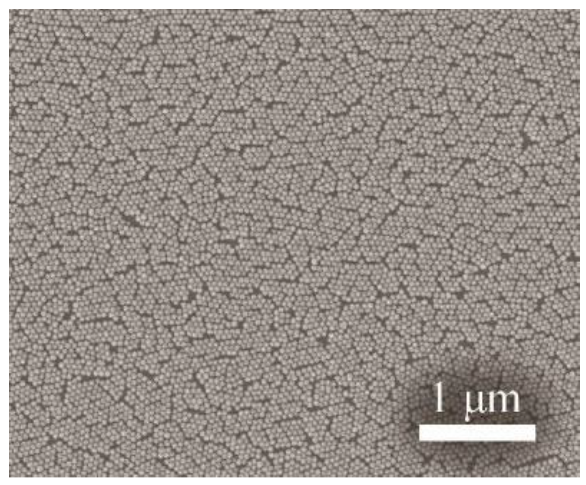 Nanomaterials 09 01426 g002