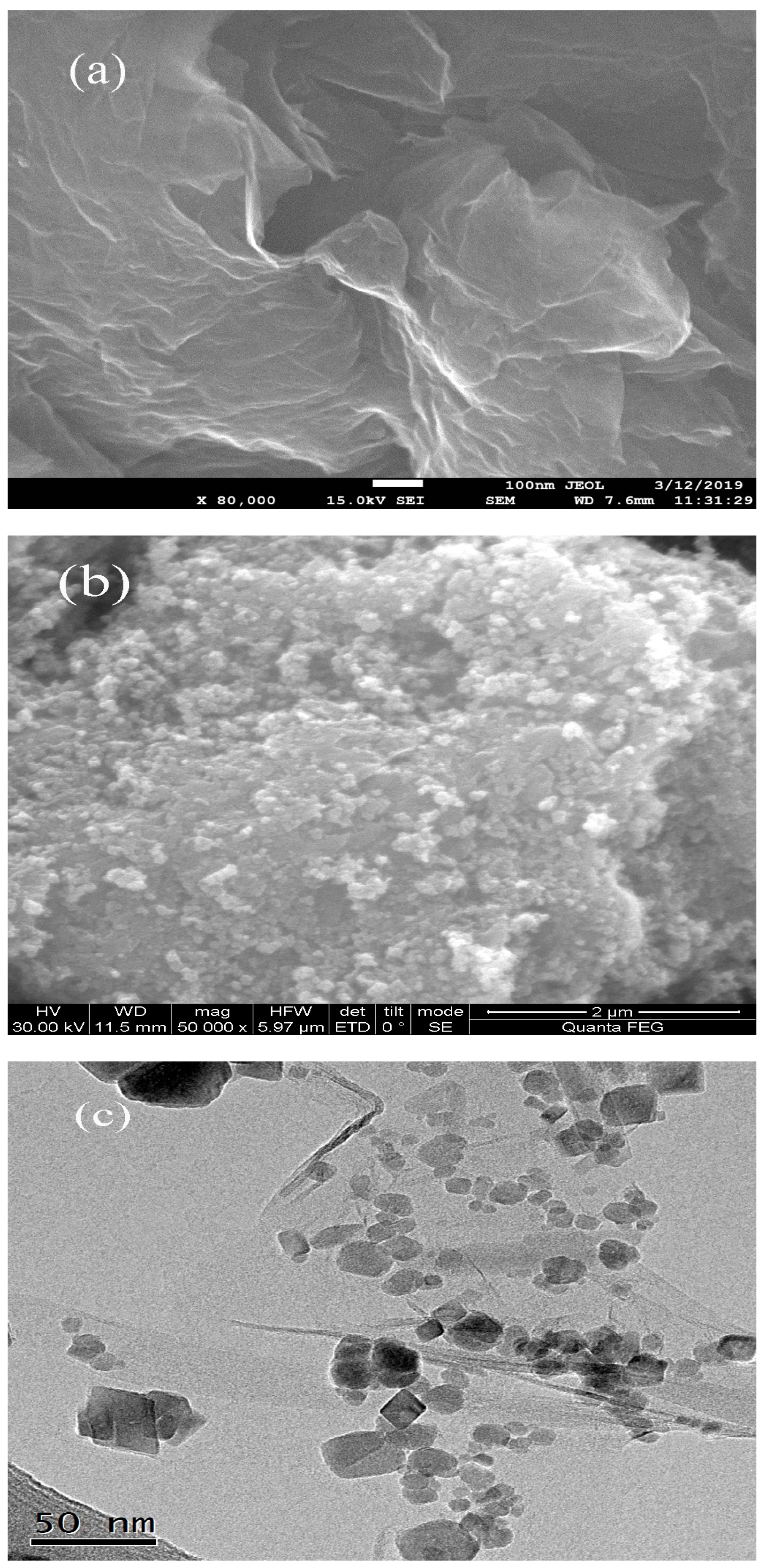 Nanomaterials 09 01429 g001