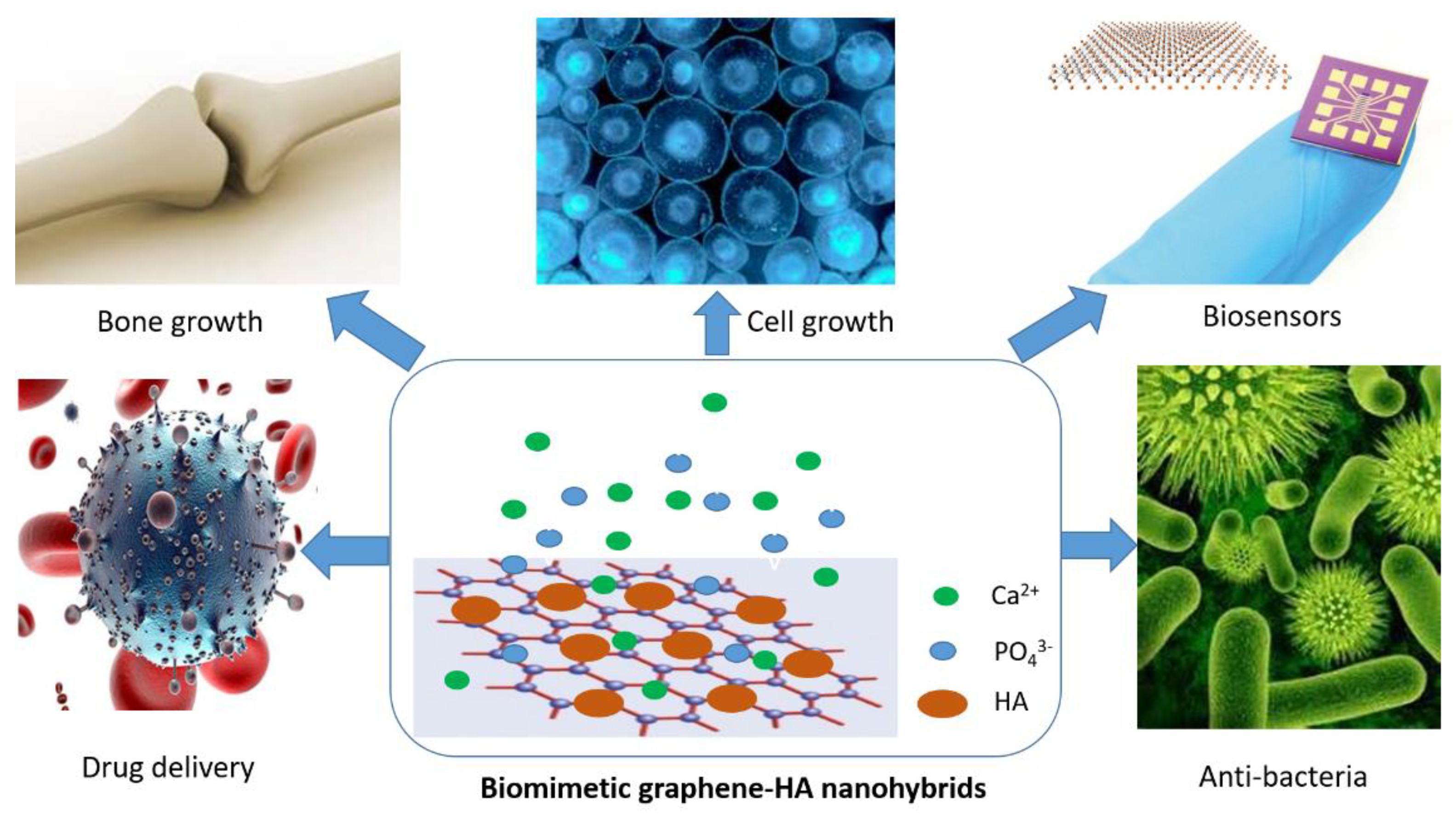 Nanomaterials 09 01435 g001