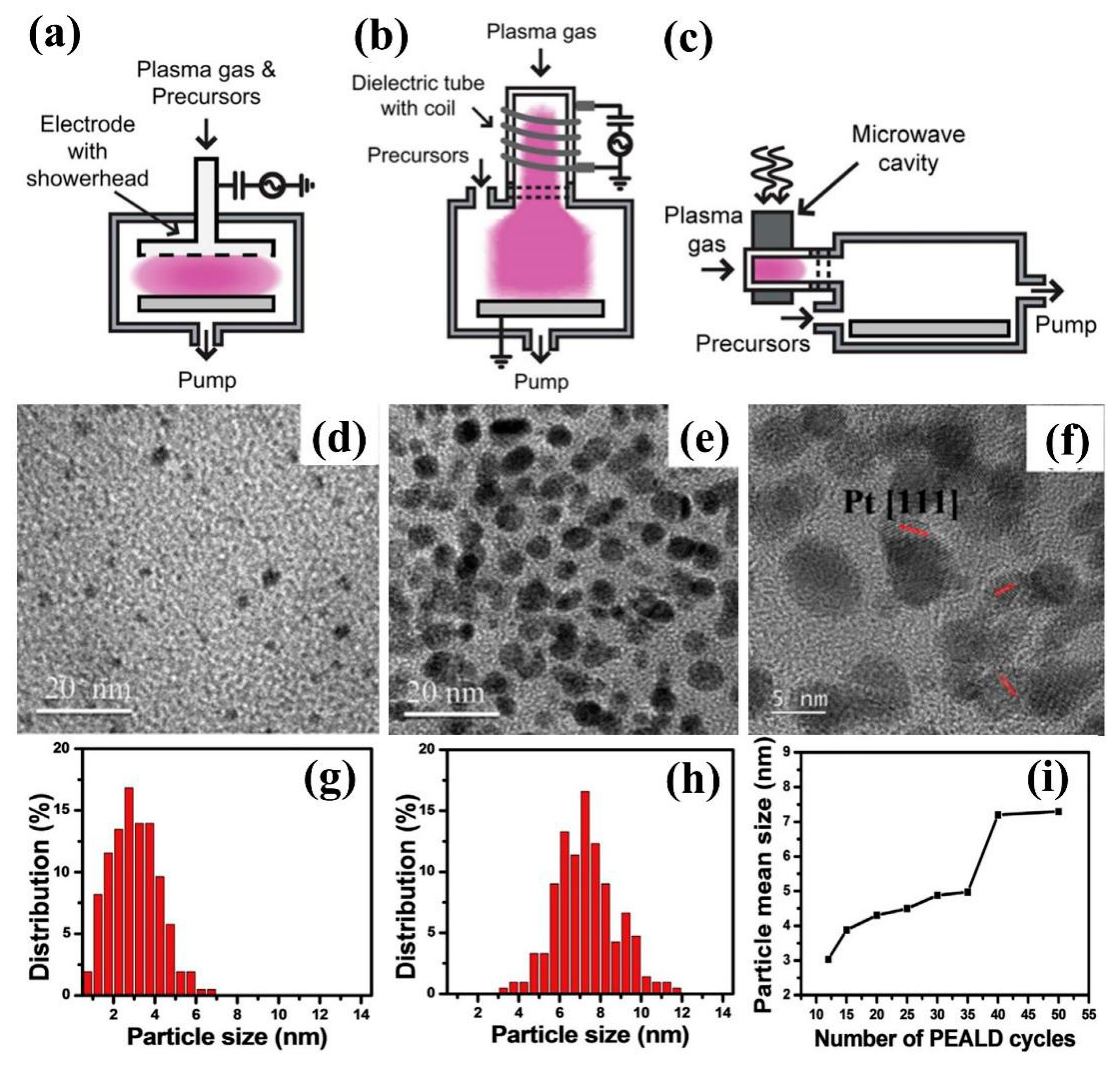 Nanomaterials 09 01436 g002