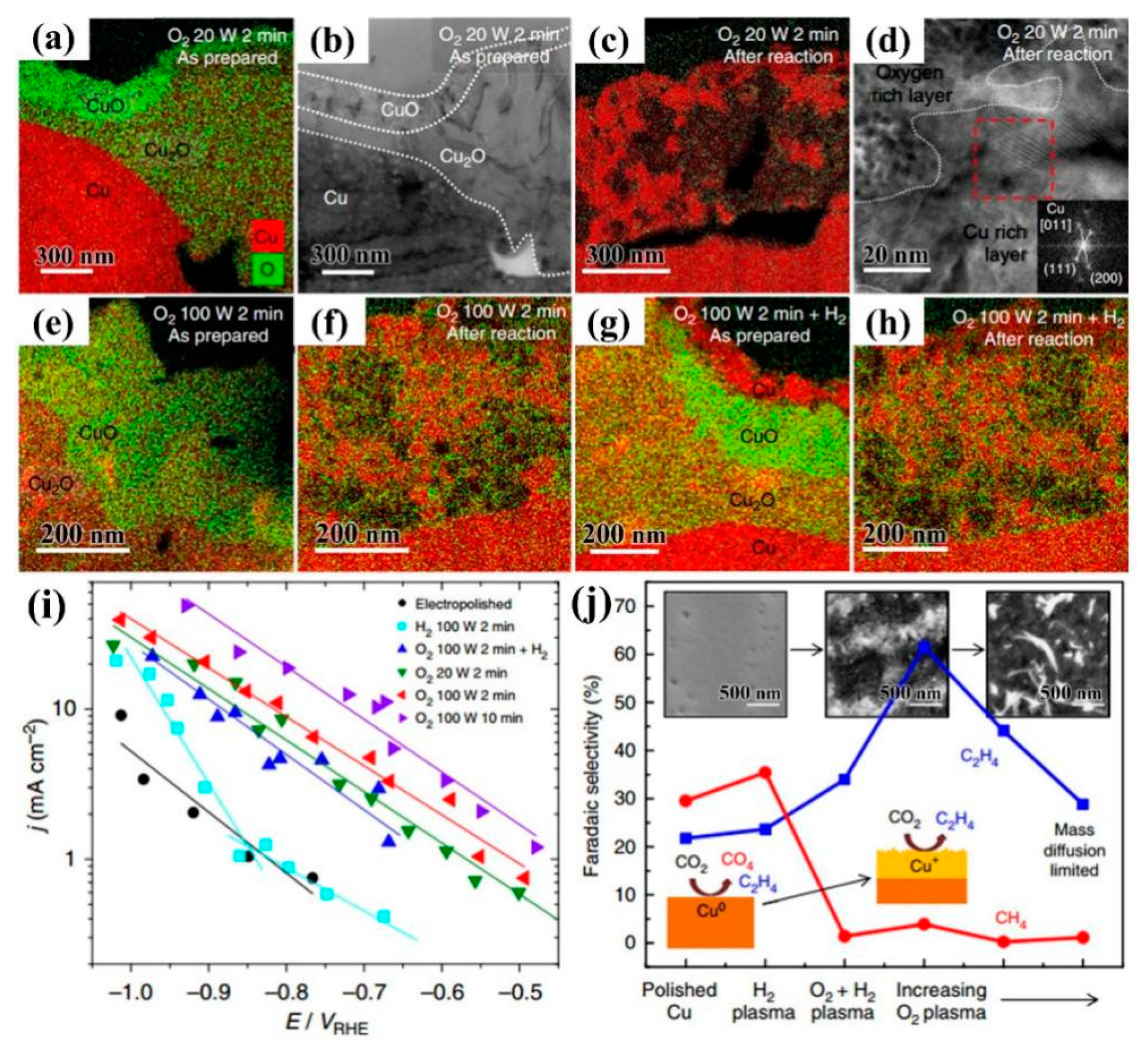 Nanomaterials 09 01436 g008