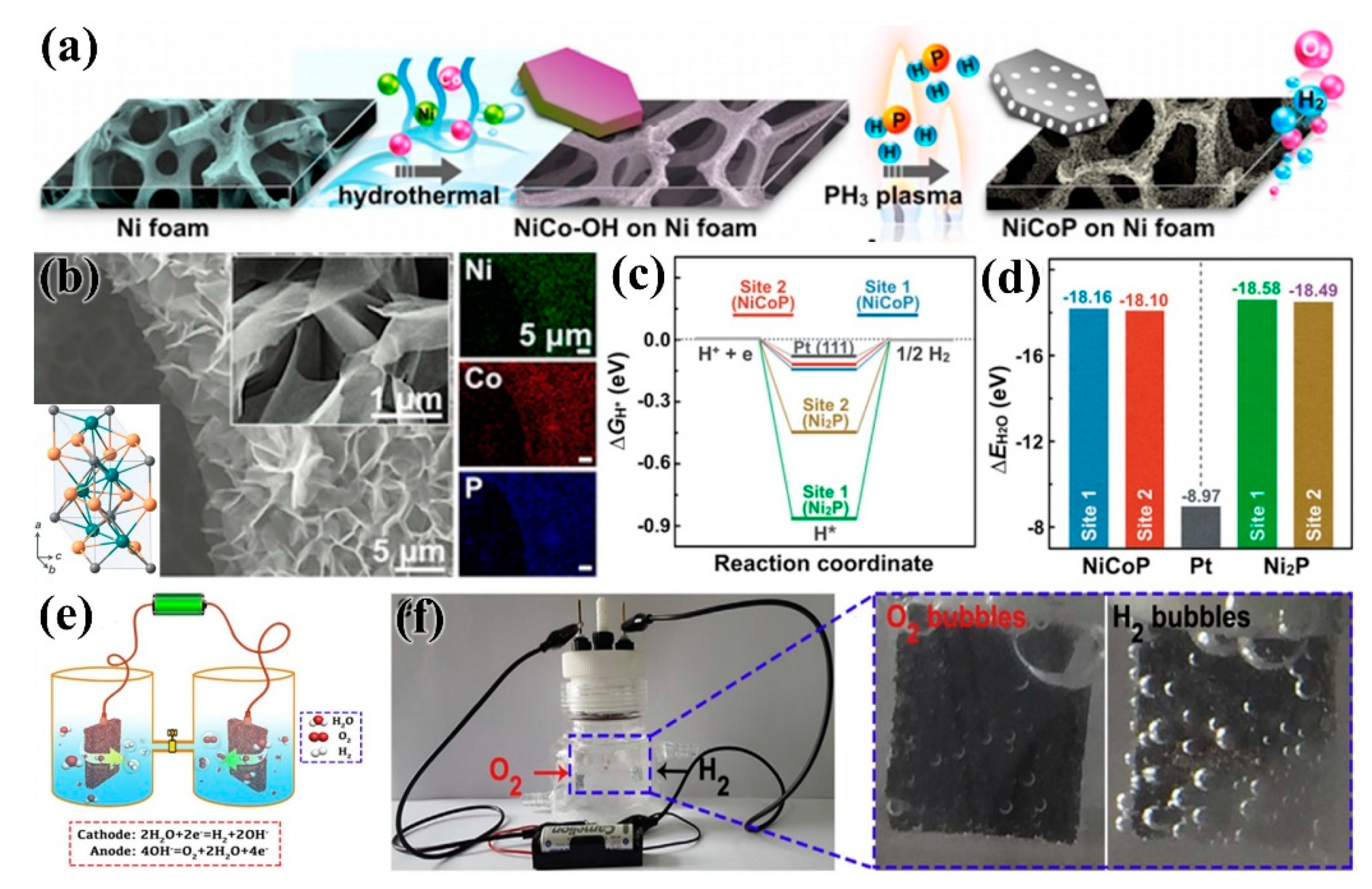 Nanomaterials 09 01436 g017