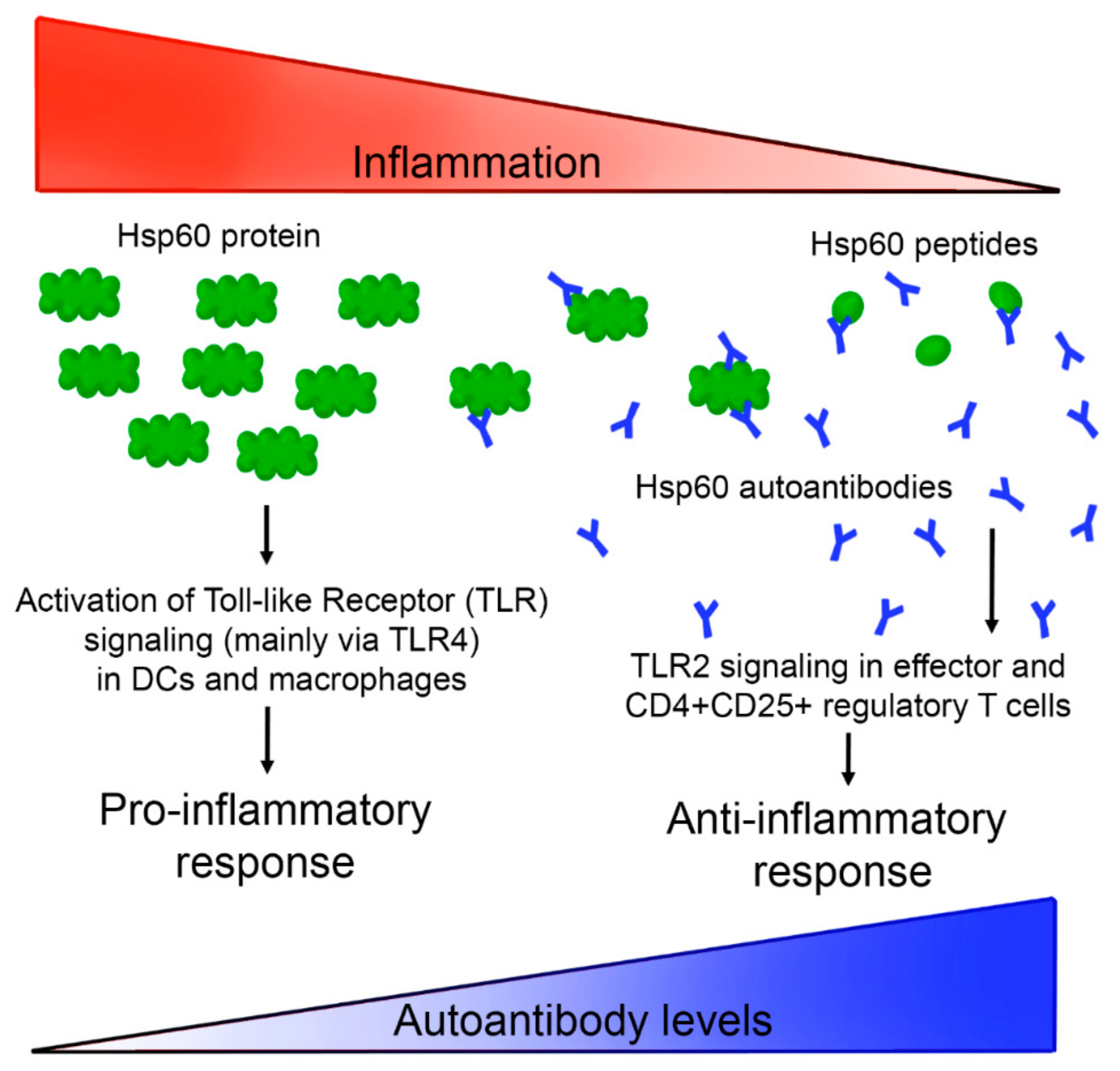 Nanomaterials 09 01438 g006 Nanomaterials 09 01438 g006
