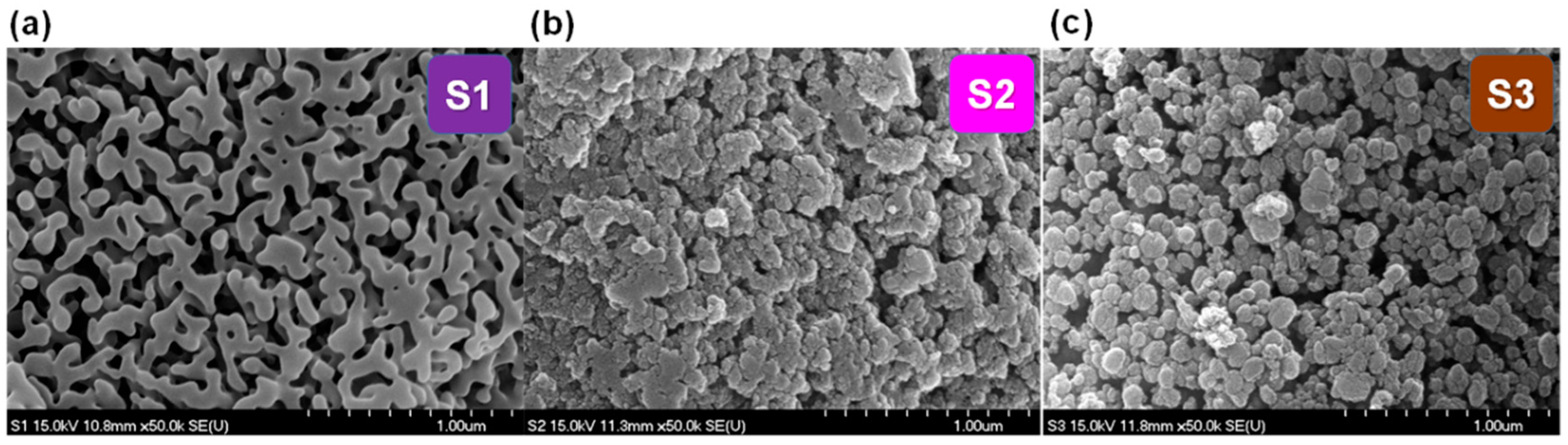 Nanomaterials 09 01440 g001