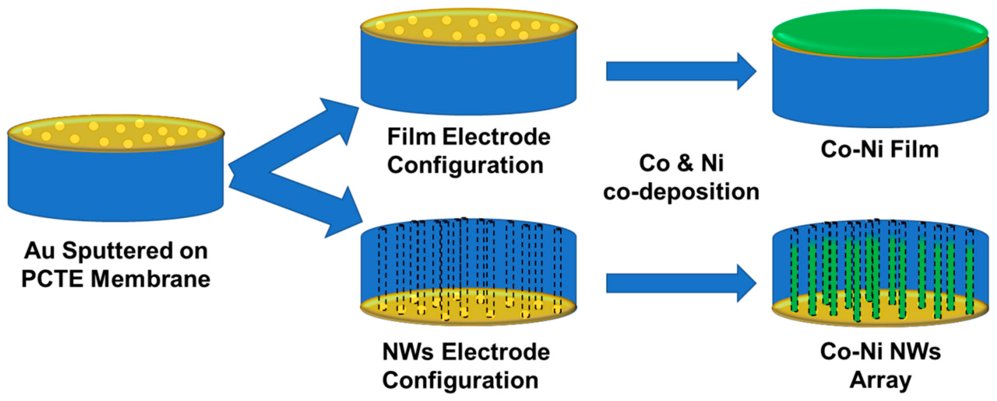 Nanomaterials 09 01446 g001