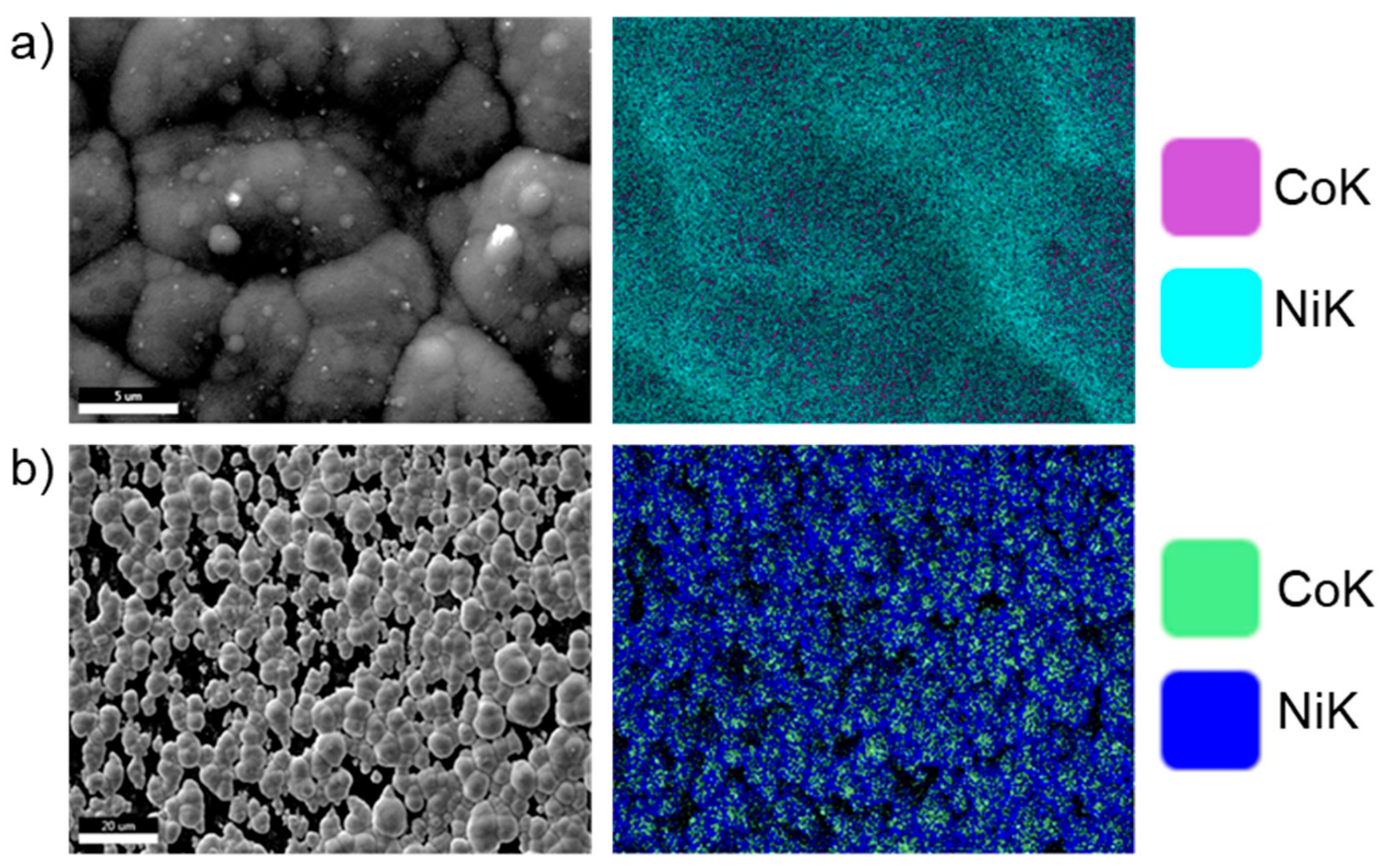 Nanomaterials 09 01446 g007