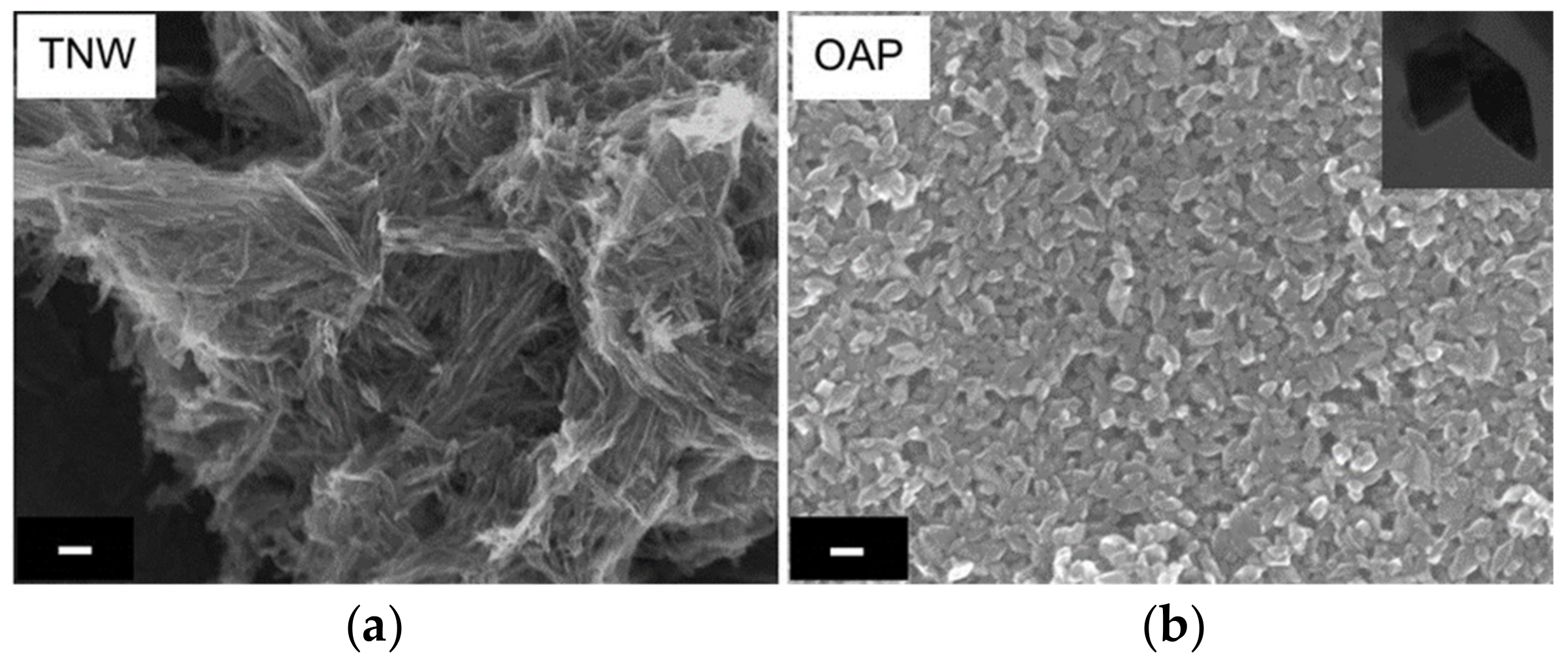 Nanomaterials 09 01447 g001 Nanomaterials 09 01447 g001