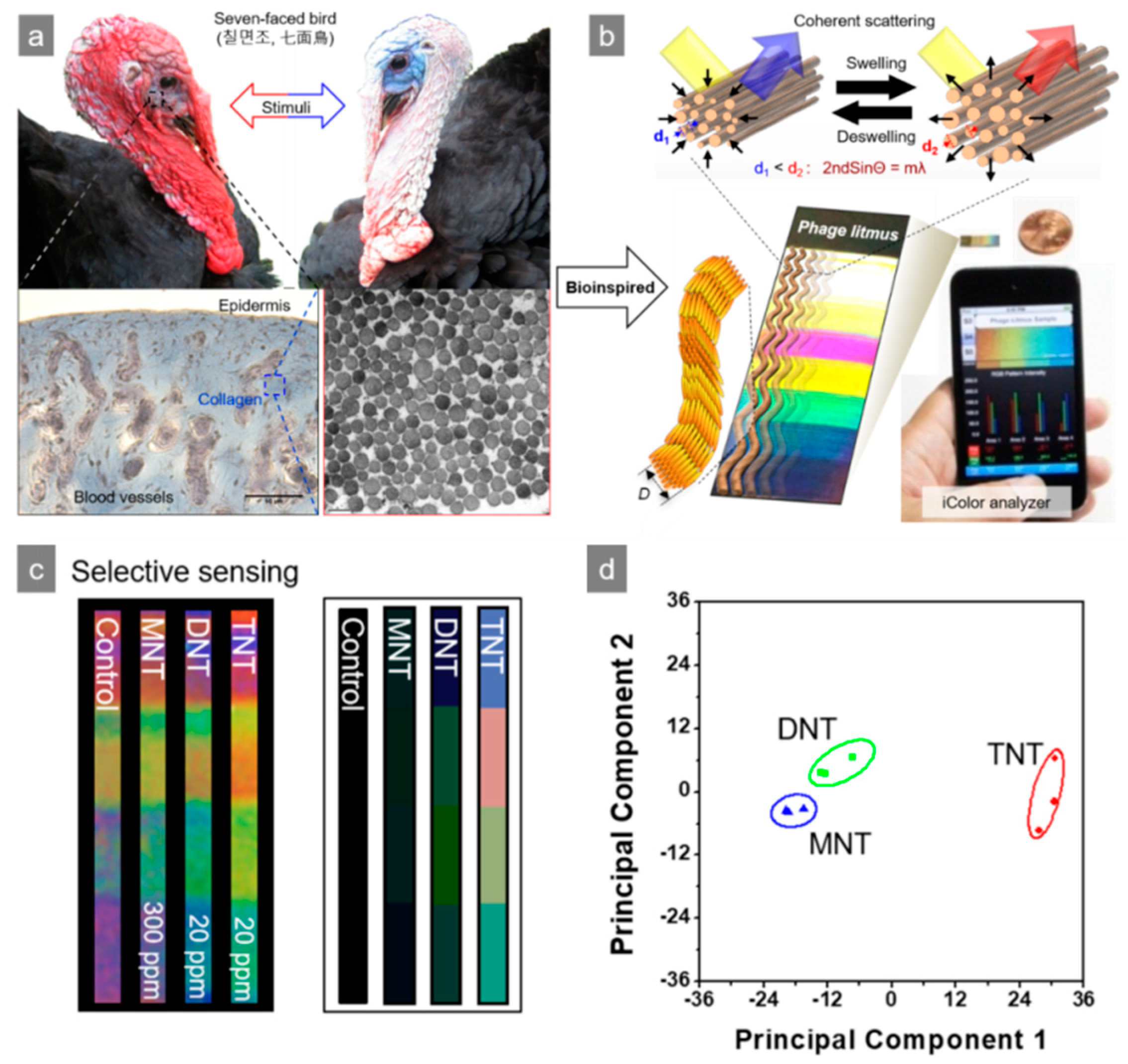 Nanomaterials 09 01448 g002