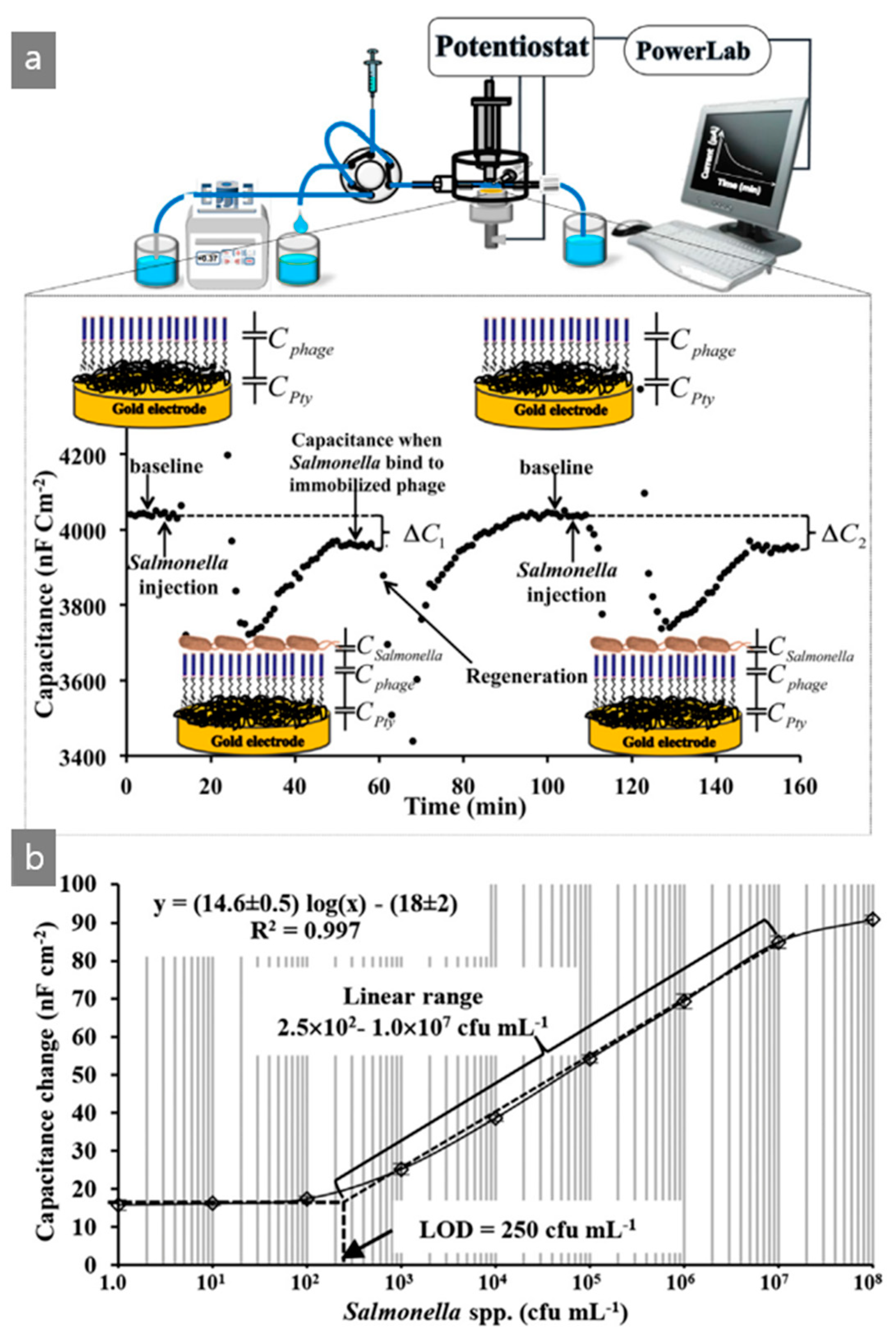 Nanomaterials 09 01448 g006