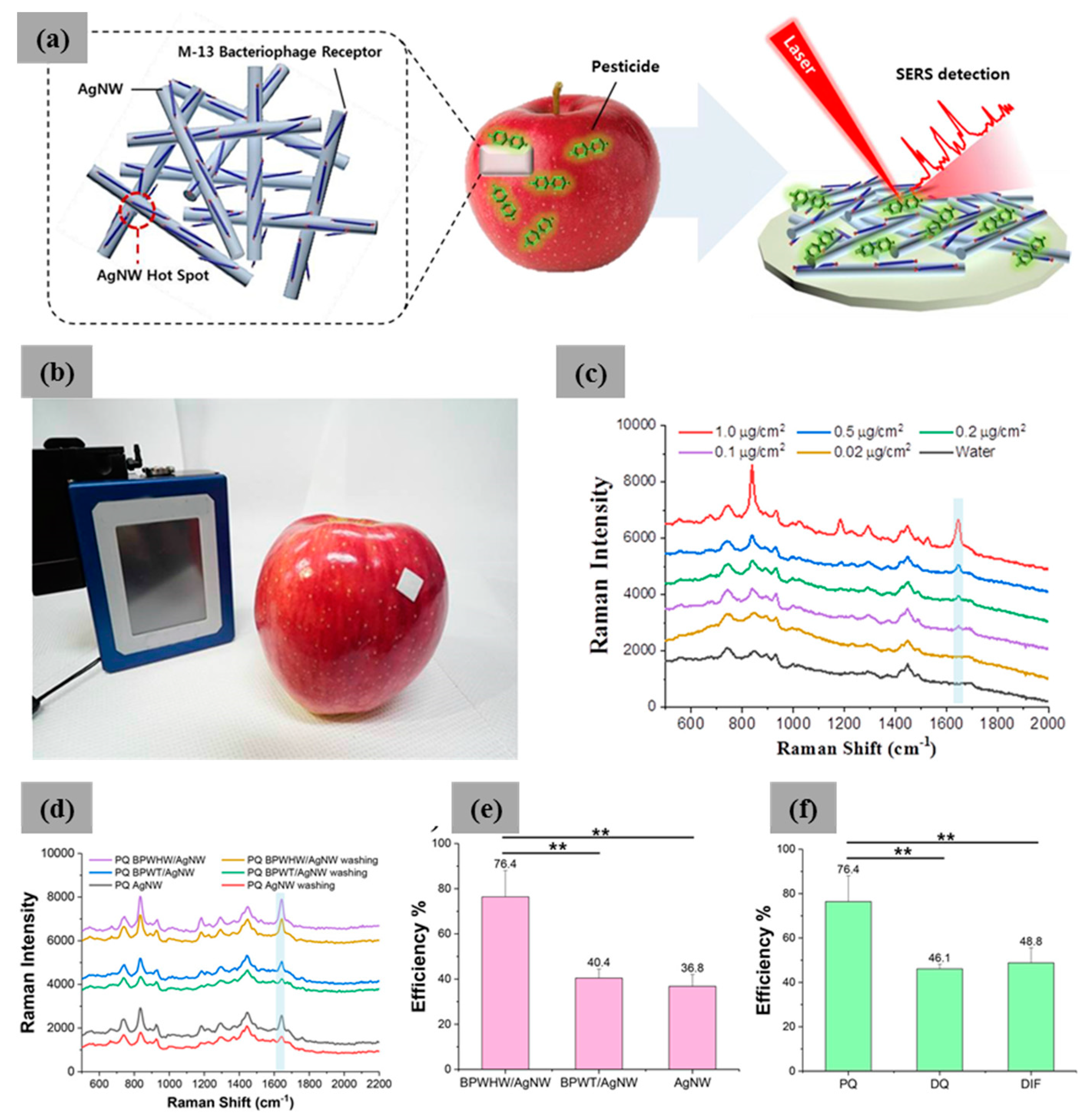 Nanomaterials 09 01448 g009