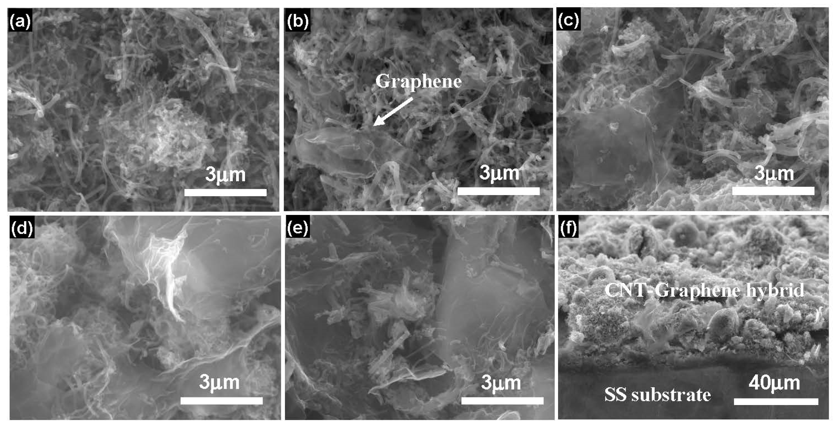 Nanomaterials 09 01450 g002