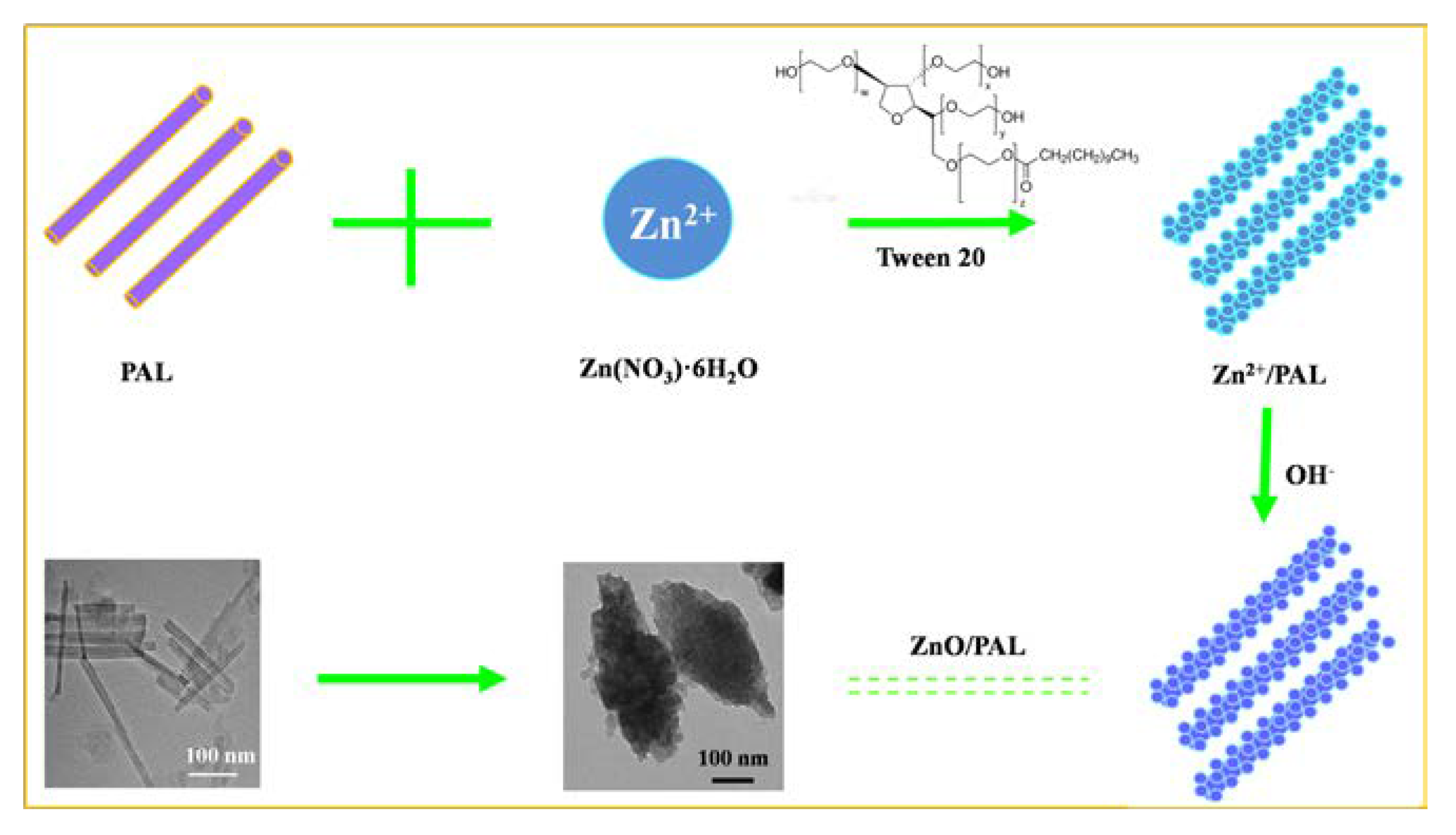 Nanomaterials 09 01453 g005