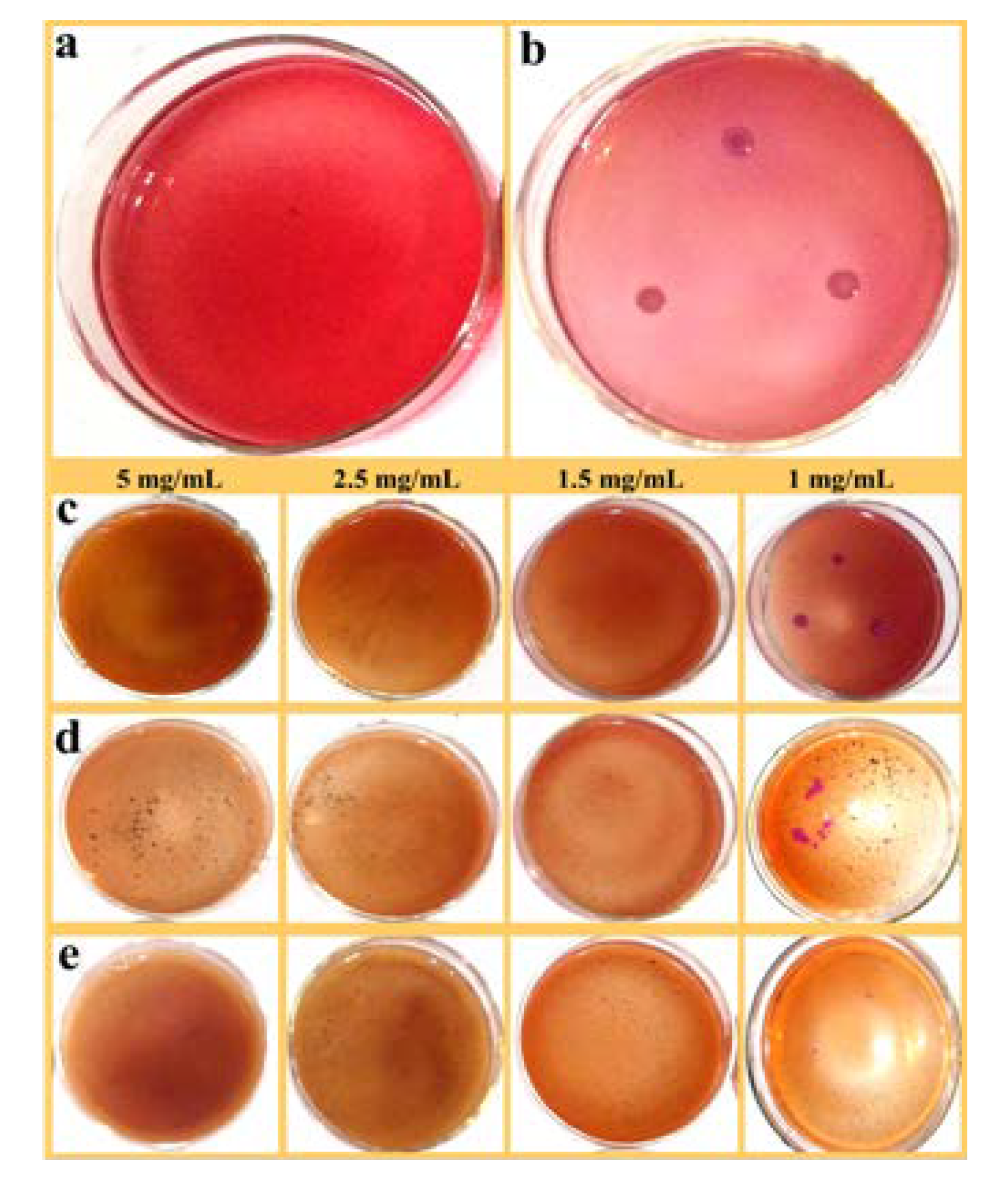 Nanomaterials 09 01453 g006