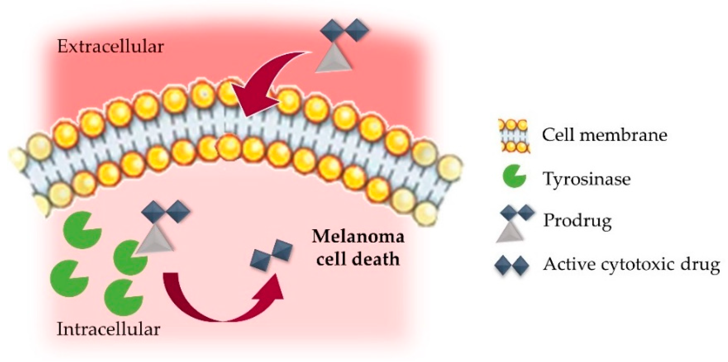 Nanomaterials 09 01455 g003 Nanomaterials 09 01455 g003