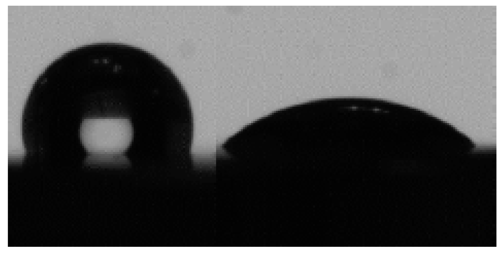 Nanomaterials 09 01458 g010