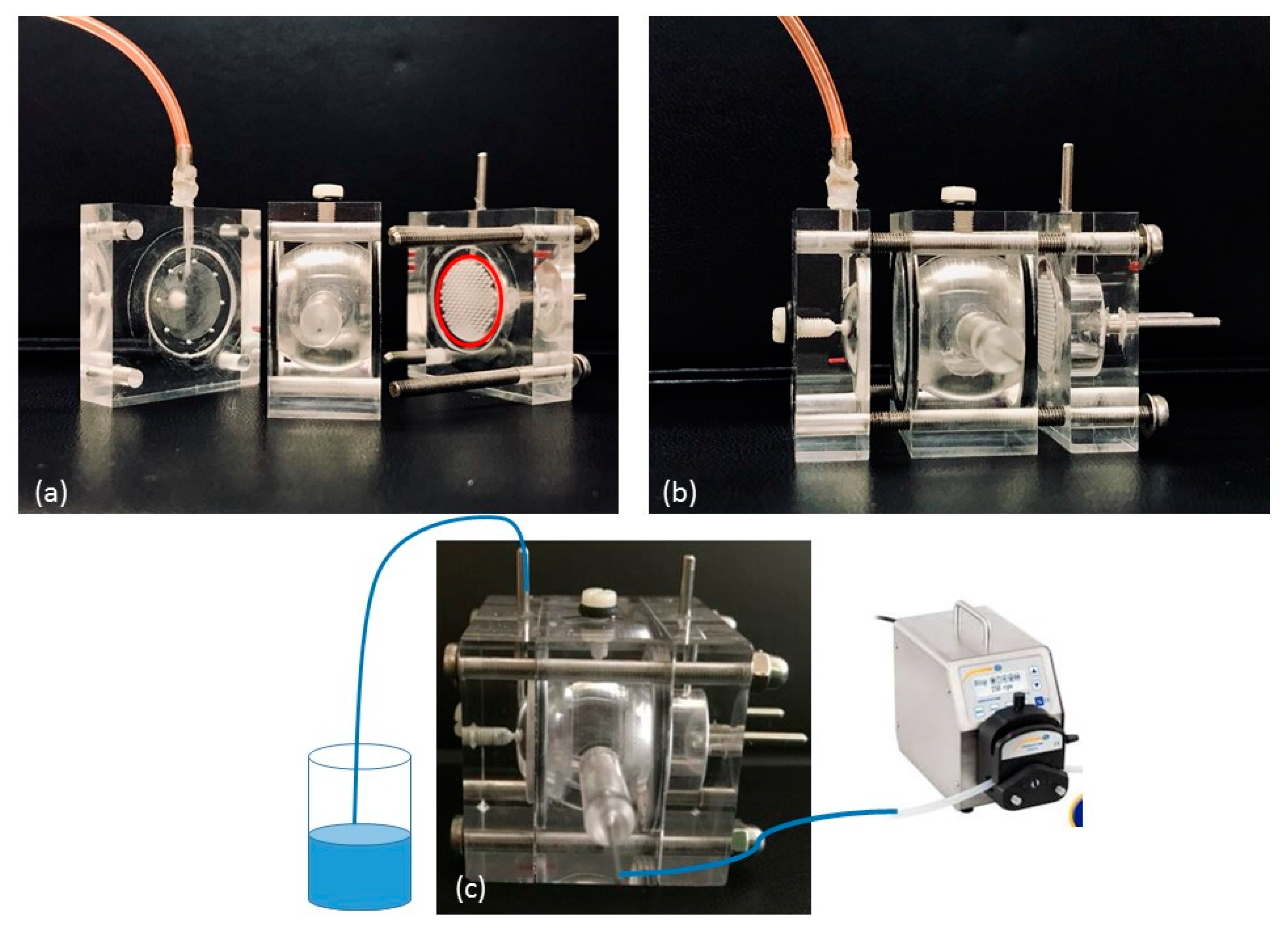 Nanomaterials 09 01461 g001